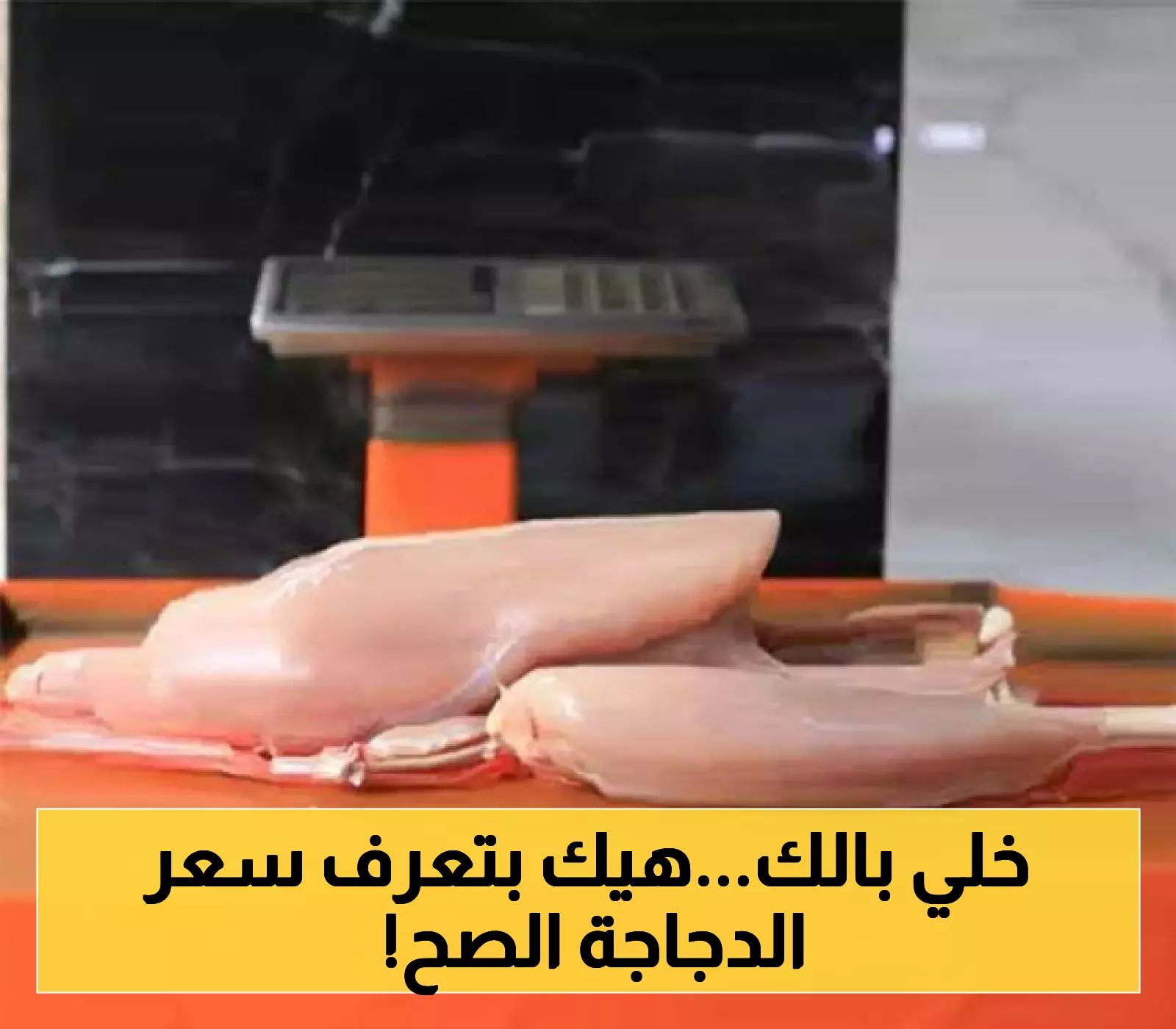 في خطوة تهدف إلى ضبط أسعار الدواجن وحماية المستهلك..بيع الدواجن بالوزن في إب في هذه المناطق!