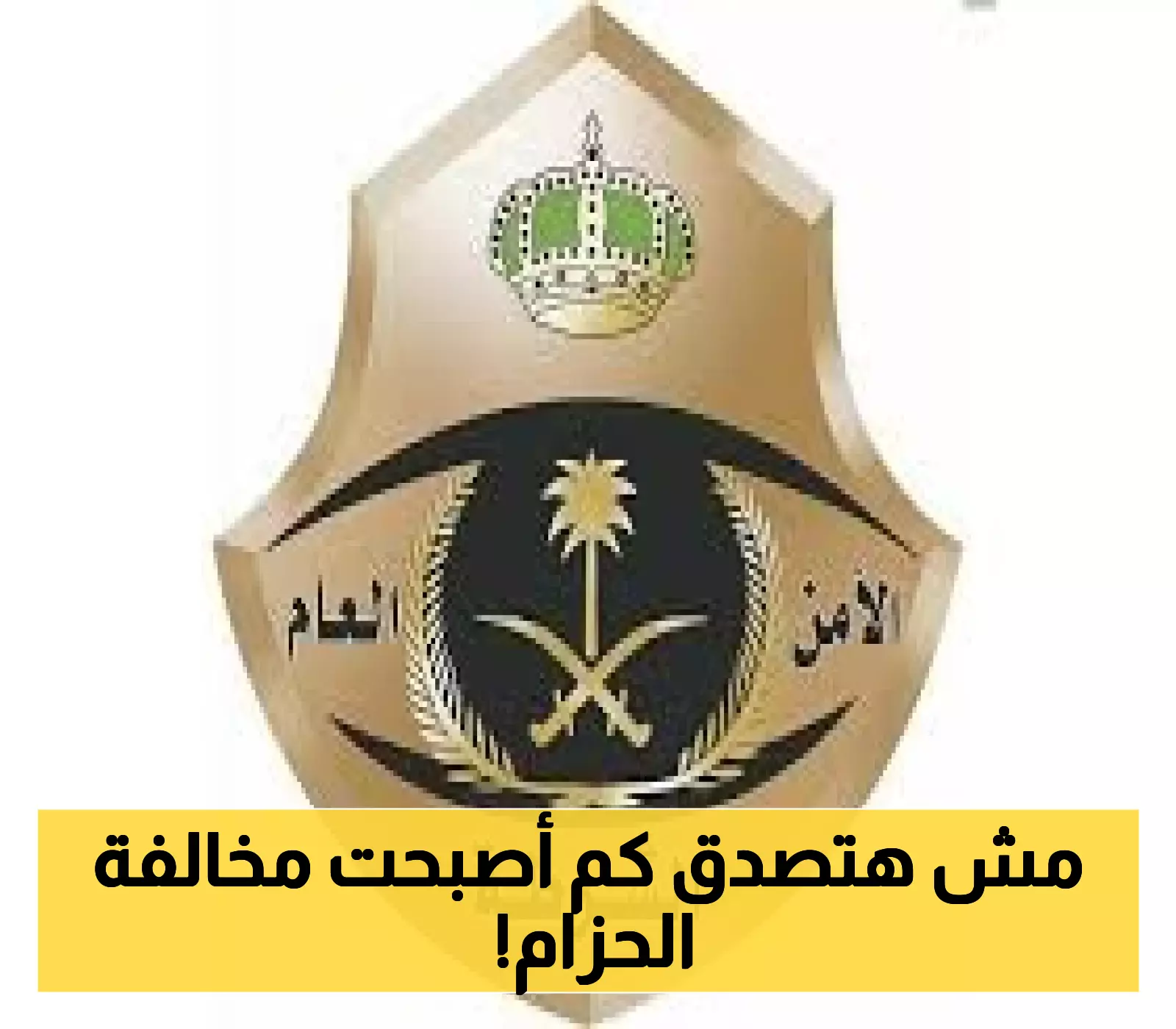 المرور يعلن عن زيادة جديدة في مخالفة عدم ربط الحزام - تعرف على القيمة