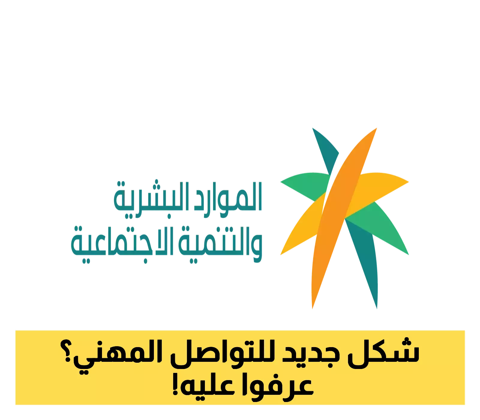 الوزارة تعلن عن نادي وعد.. تعزيز التواصل المهني في متناول يدك