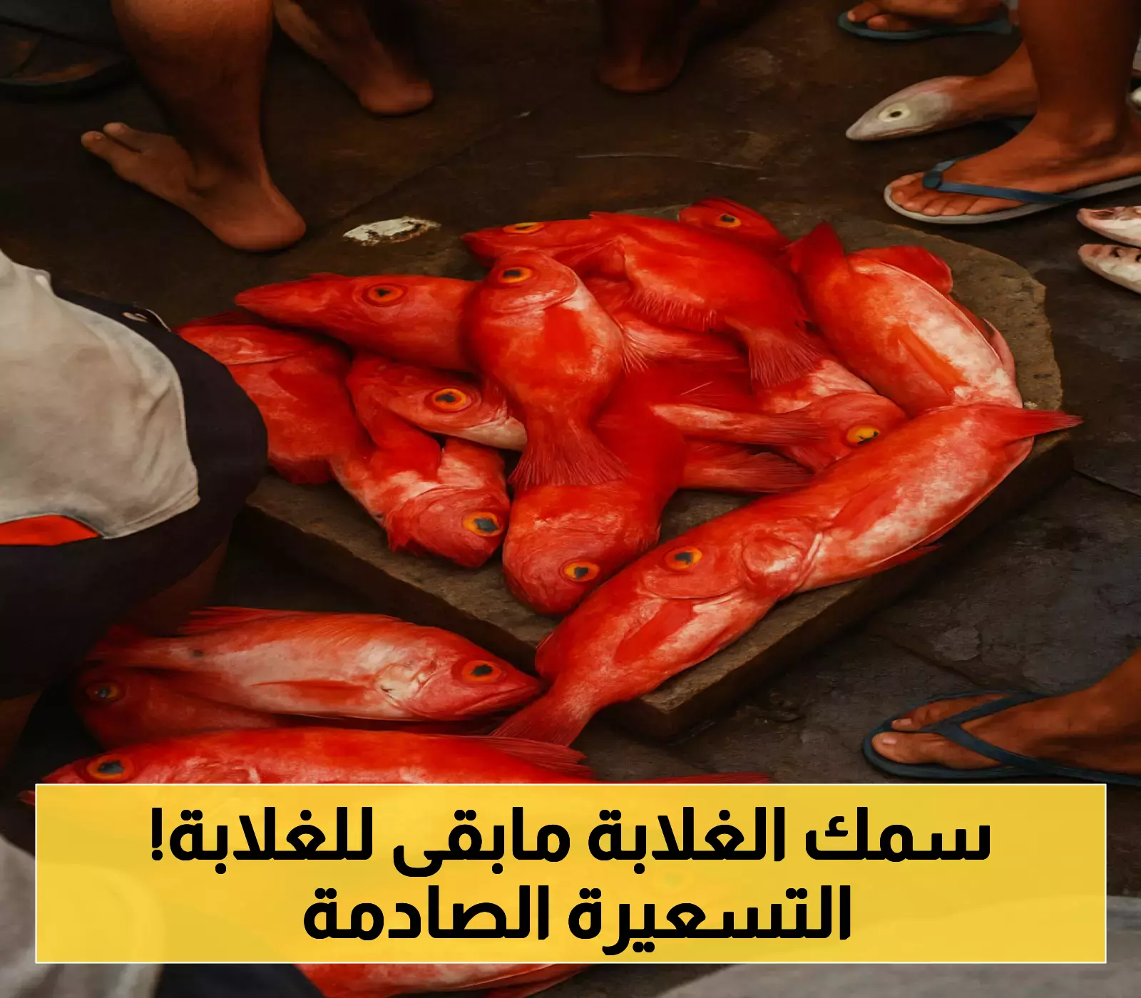 تغيرات الأسواق السمكية في عدن: قفزة سعرية مفاجئة تضرب "سمك الغلابة".. تعرف على التسعيرة الجديدة !