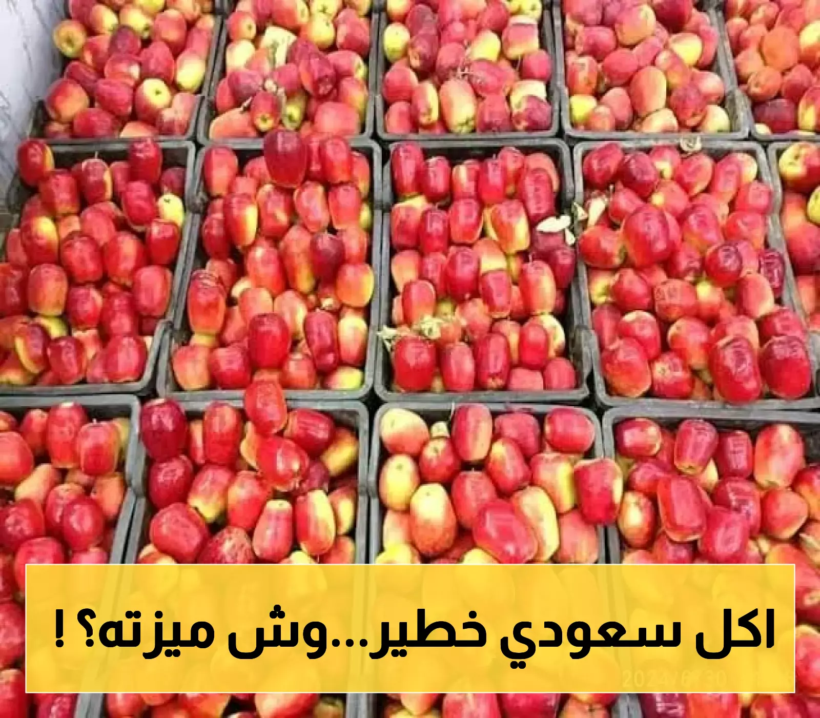 محافظة الجوف تعلن عن بدء حصاد (التفاح الجوفي) منتج محلي بمواصفات عالمية..تفاصيل توفره في الاسواق!