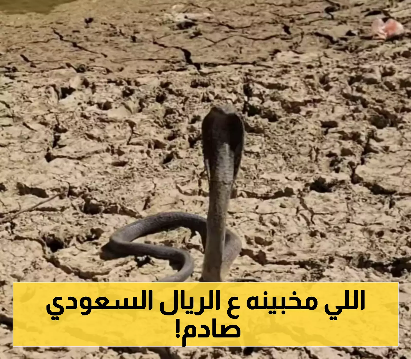 سعر الريال السعودي في مواجهة الجنيه المصري والعملات العربية: تحديث الأربعاء
