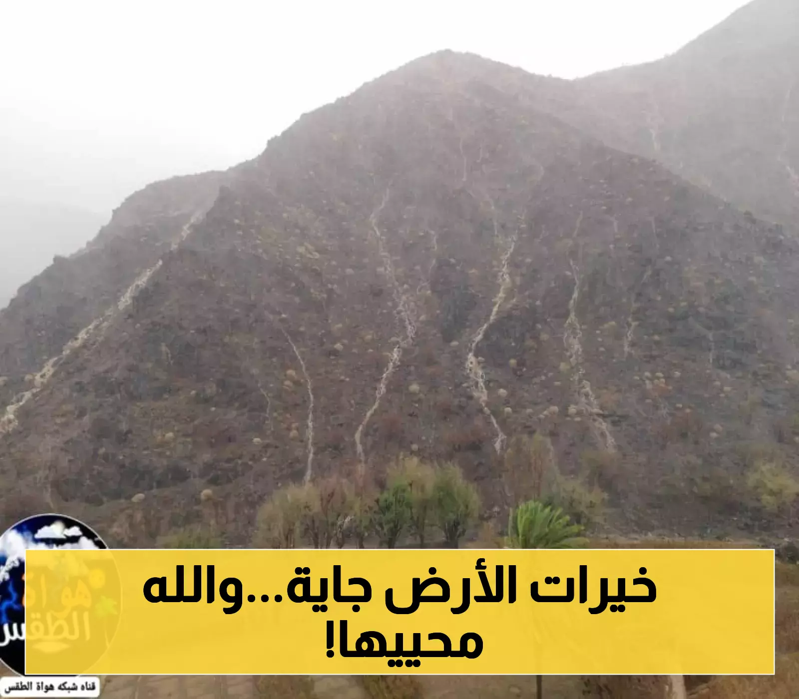 "شاهد بالفيديو والصور: بشائر الخريف تتدفق في اليمن... سيول تروي الوديان وتوقعات بأمطار غزيرة خلال شهر صفر
