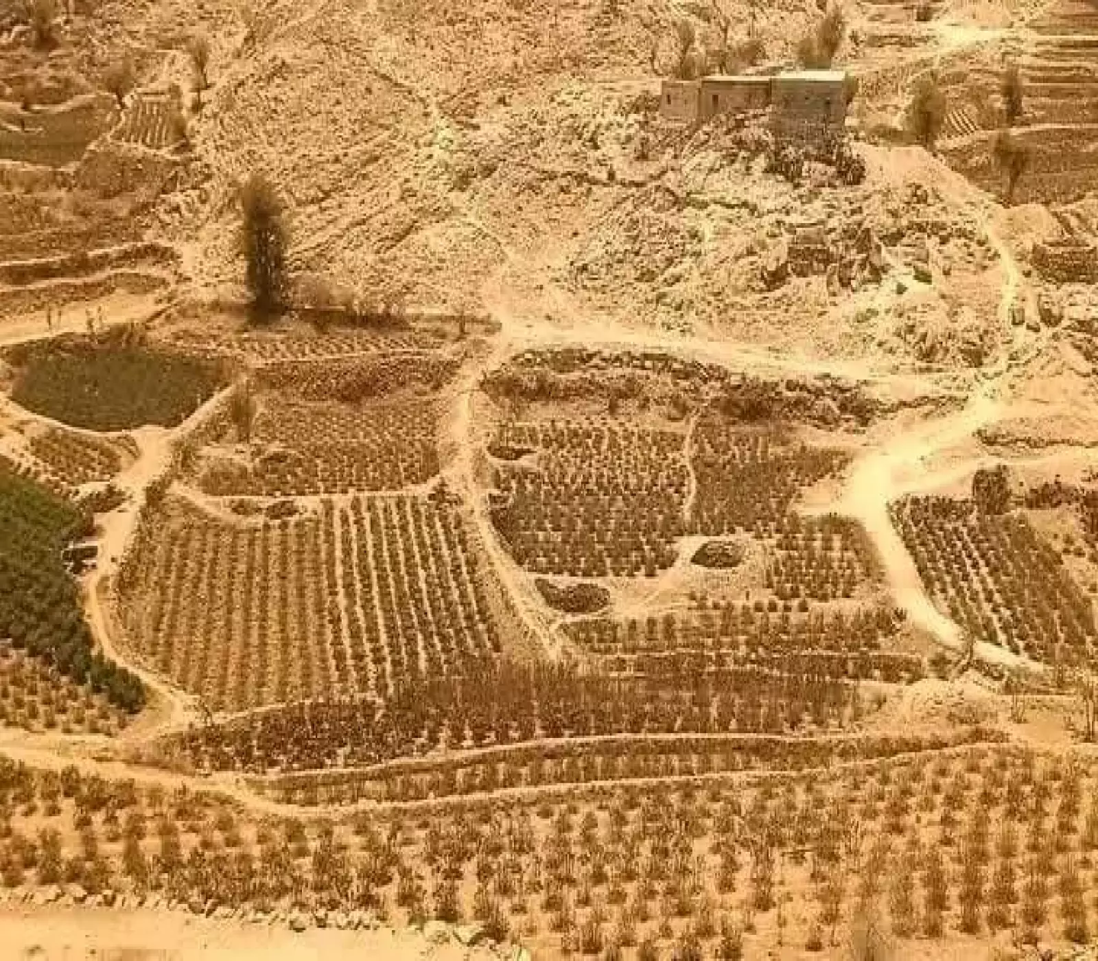 لأول مرة في تاريخها: جفاف وقحط غير مسبوق يضرب هذه المحافظة اليمنية وكارثة بيئية تهدد أكبر مديرياتها.. صور صادمة
