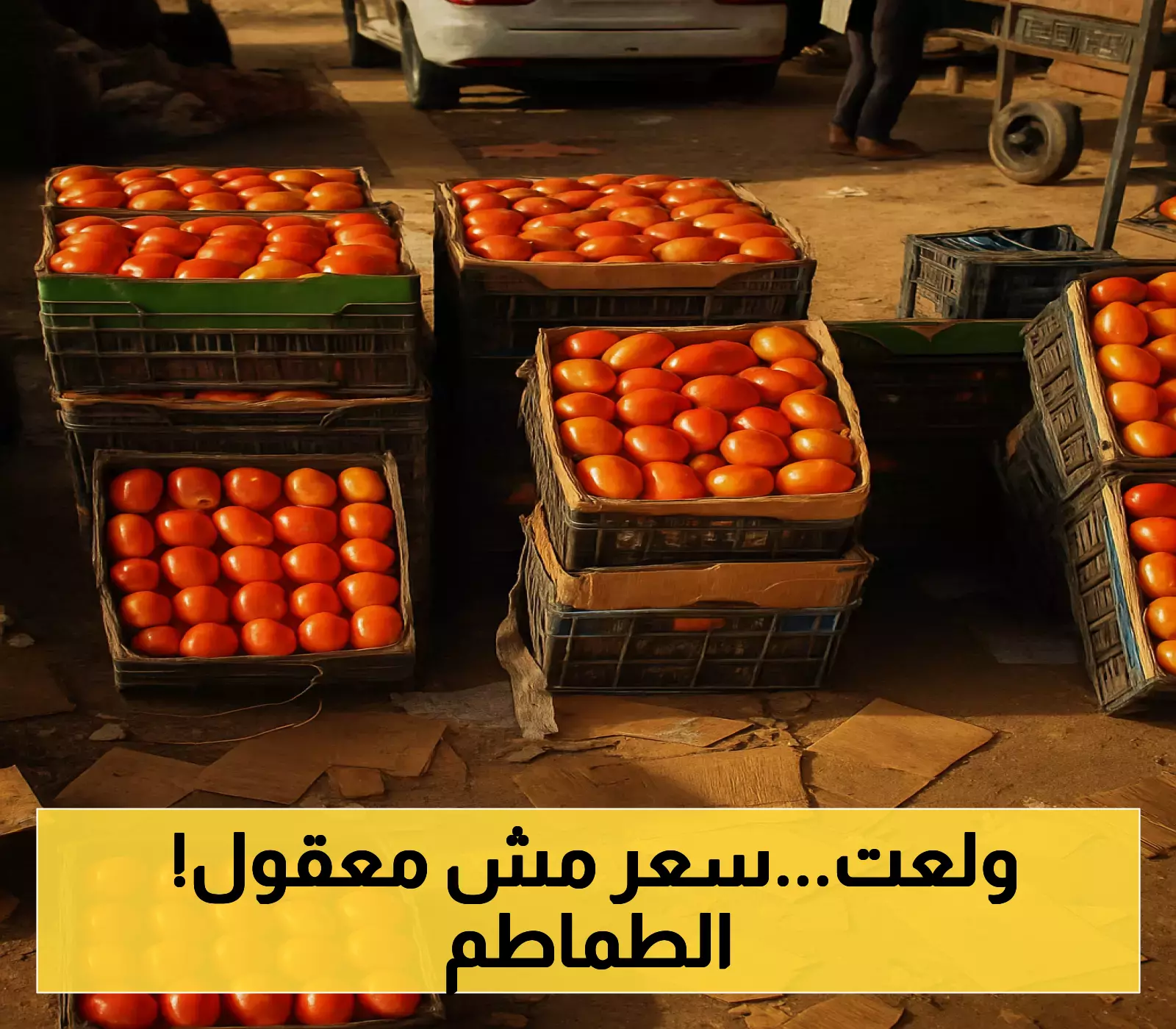 سعر سلة الطماطم يسجل رقماً قياسياً مفاجئاً في أسواق عدن وسط تدهور معيشي غير مسبوق!