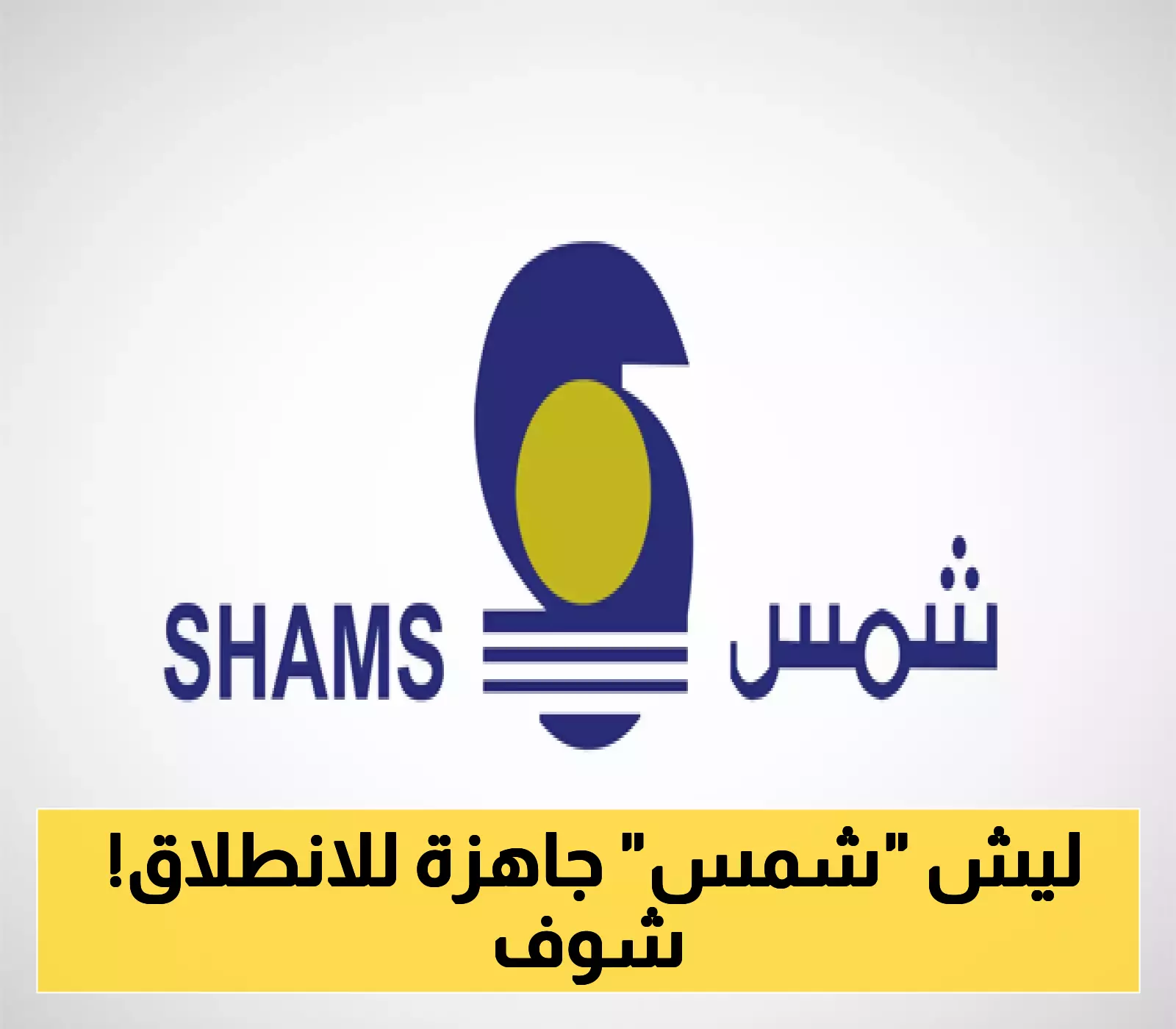 بضربة واحدة: شركة "شمس" تقلص أسهمها بـنسبة 95% لتعزيز جاذبيتها في السوق... والتفاصيل المفاجئة هنا