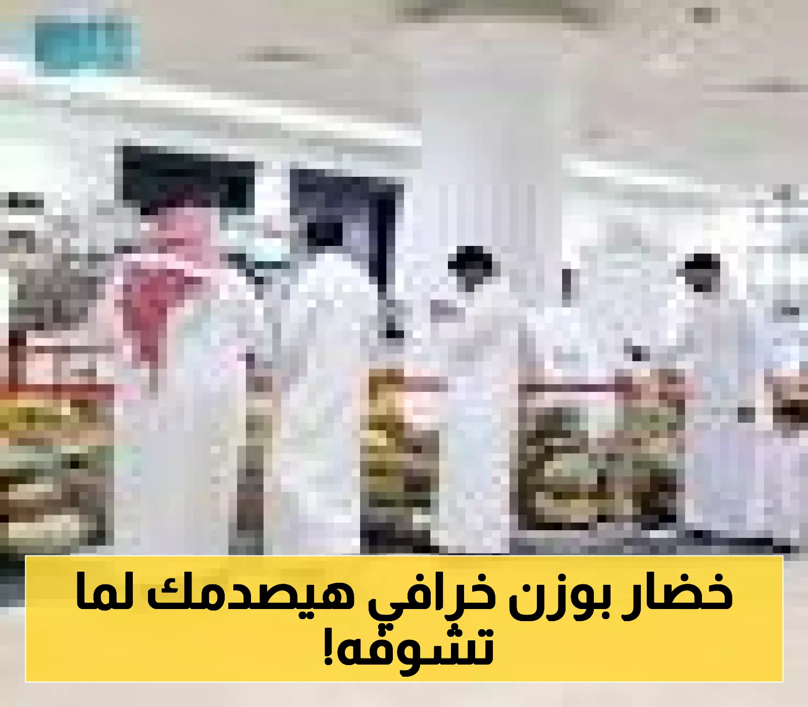 يقطينة بـ 500 كجم.. شجرة النبي يونس تتصدر 150 نوعاً في معرض القصيم