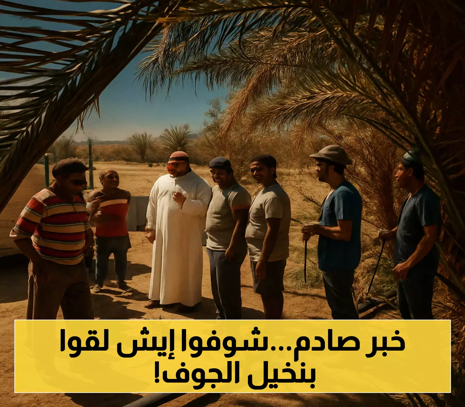 تحليل نتائج فحص ملايين النخيل في منطقة الجوف