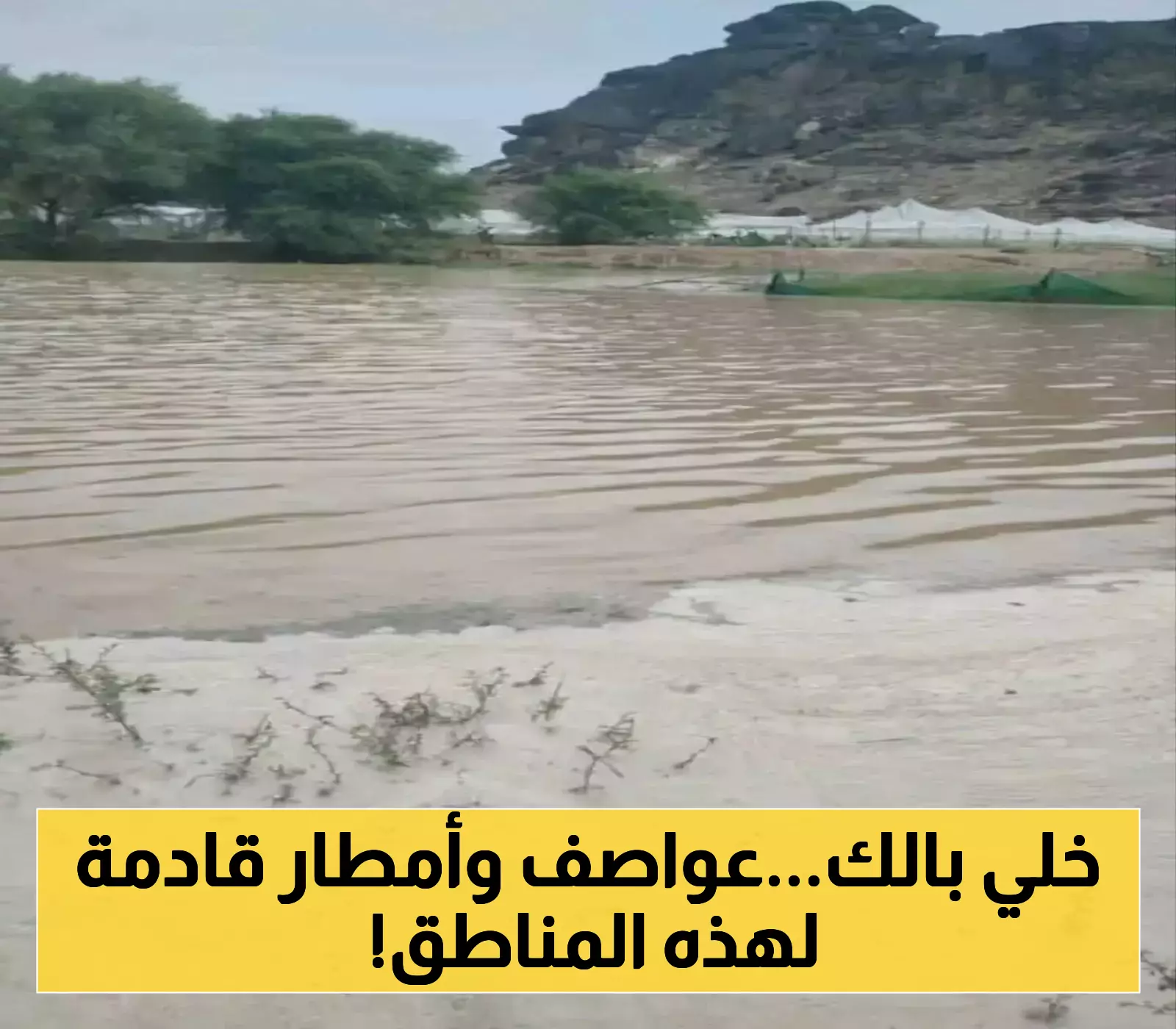 الأرصاد الجوية تحذر من رياح شديدة وأمطار رعدية تضرب 8 محافظات يمنية خلال الـ24 ساعة القادمة... الأسماء والتفاصيل!
