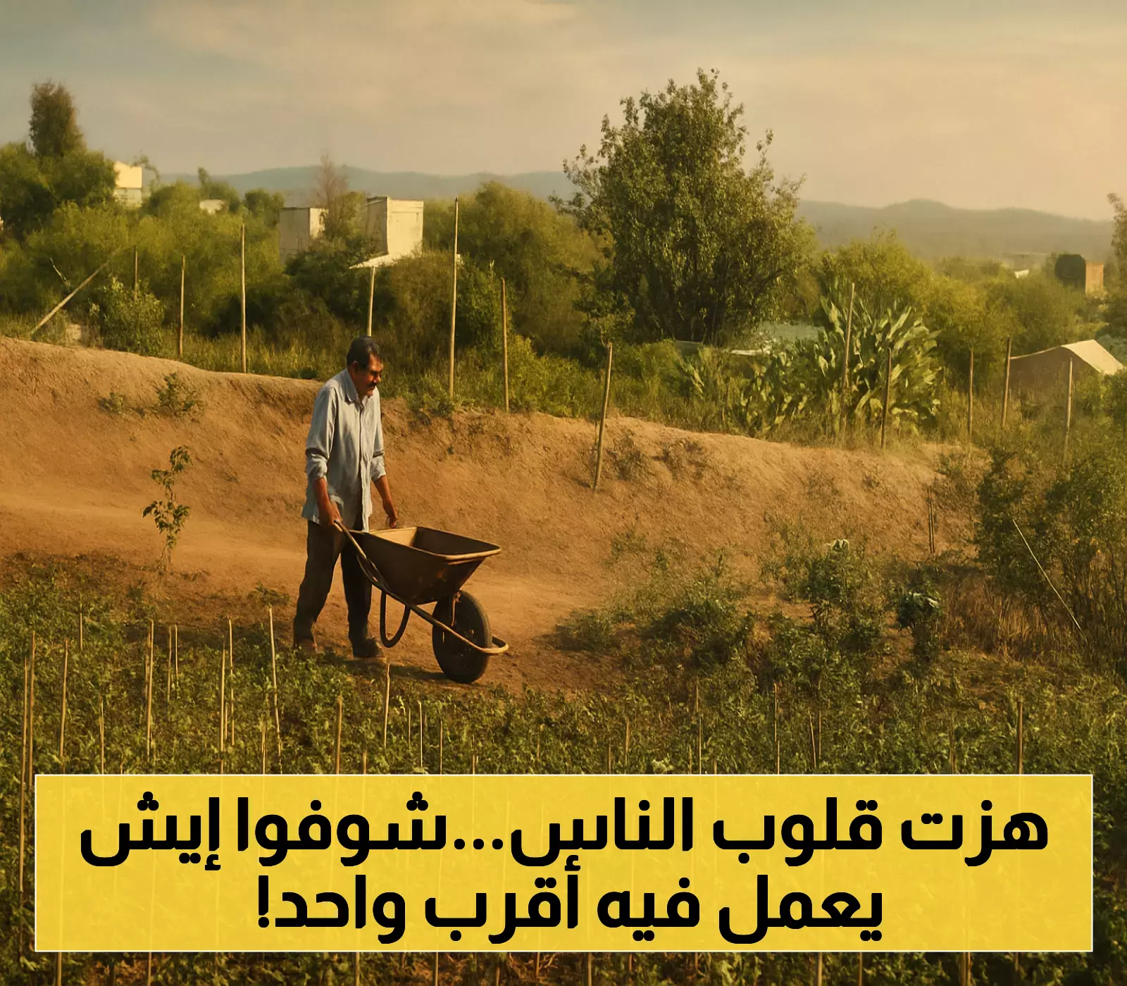 شاهد بالفيديو: صرخات الطفل اليمني ”عرفات” تفضح جريمة يومية يتعرض لها الصغير من أقرب شخص إليه !