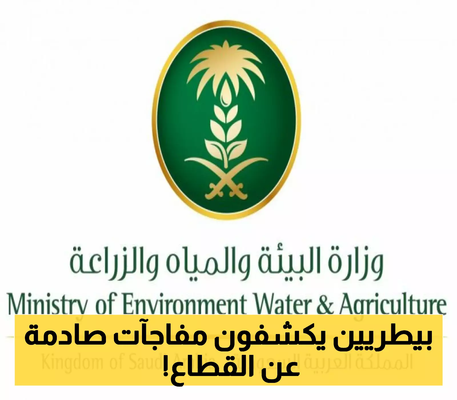 خطة تحديث جذرية في القطاع البيطري: ماذا يقول المختصون؟