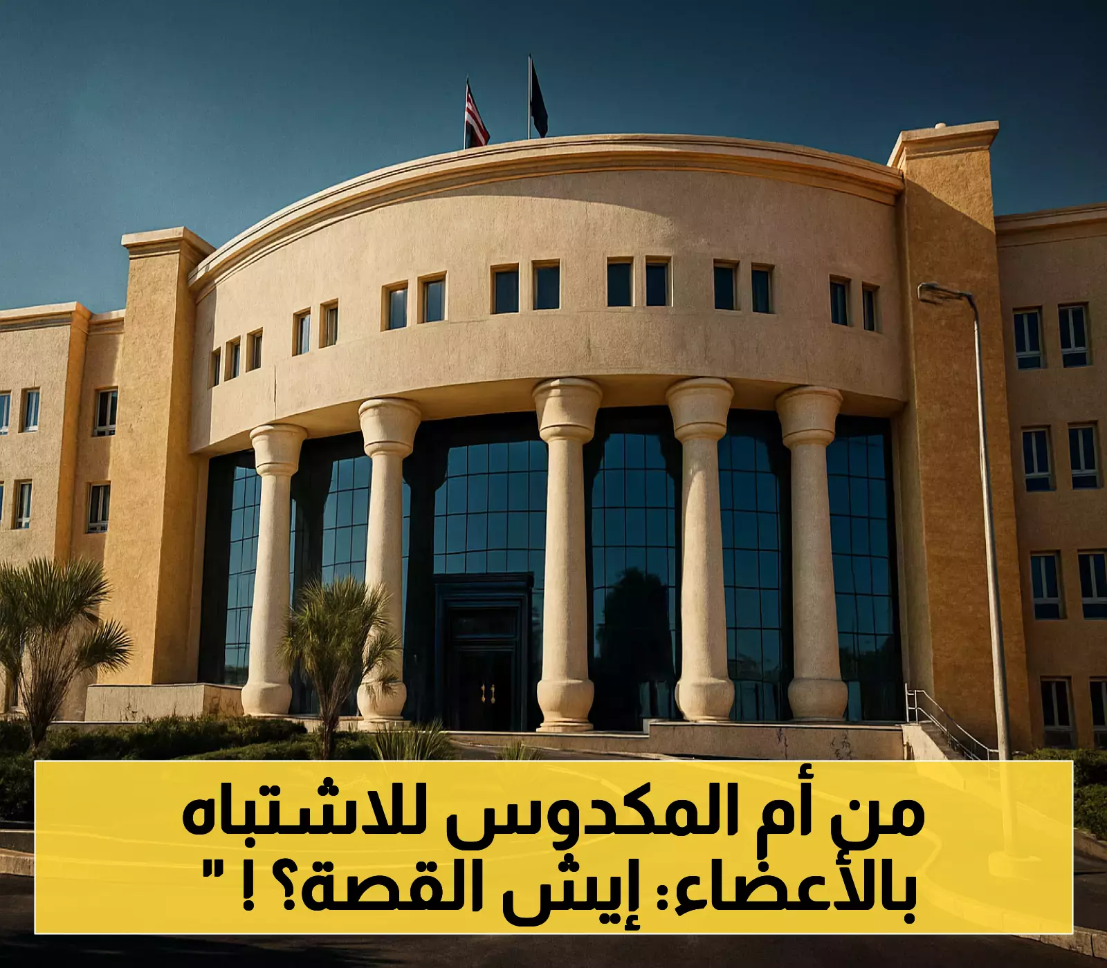 من فسيخ بـ120 ألف يوميًا إلى اتهامات بالاتجار بالأعضاء: تفاصيل القبض على زوج "أم مكة" والتحفظ عليها