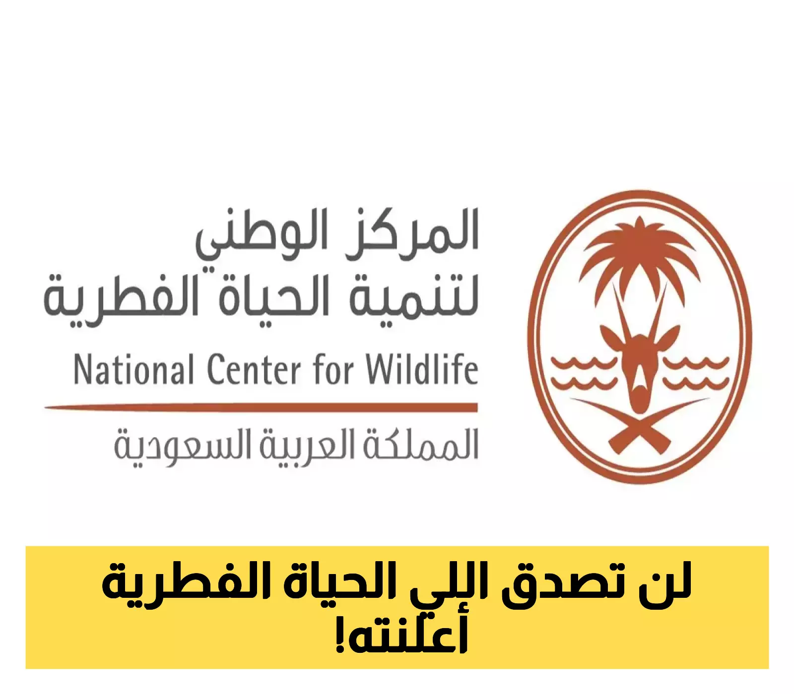 احترافية جديدة في حماية البيئة: "الحياة الفطرية بالسعودية" تقدم معيار الجوالين_البك التفاصيل