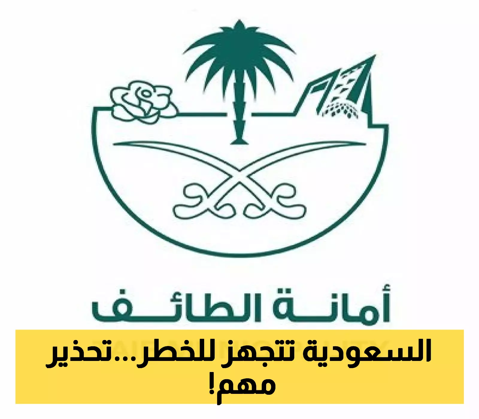 محافظة سعودية تعلن التأهب القصوى بـ100 آلية لمواجهة الأمطار المرتقبة... وتحذير رسمي للسكان: "تجنبوا هذه المناطق فوراً!