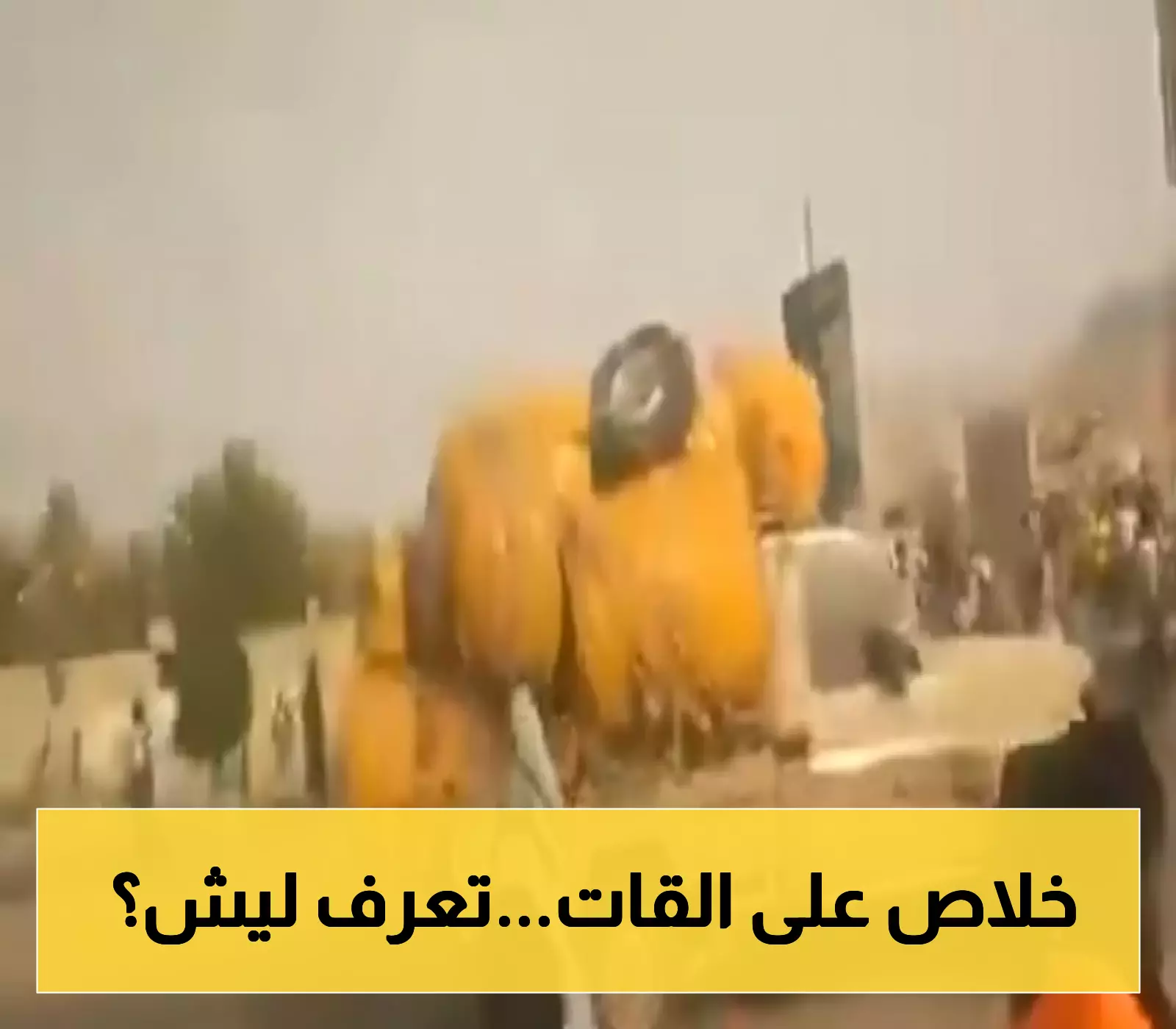 أكبر محافظة في اليمن تقر رسمياً منع استيراد وتجارة "القات" وتعترض وصوله إلى "المقاوتة" و"الموالعة" !