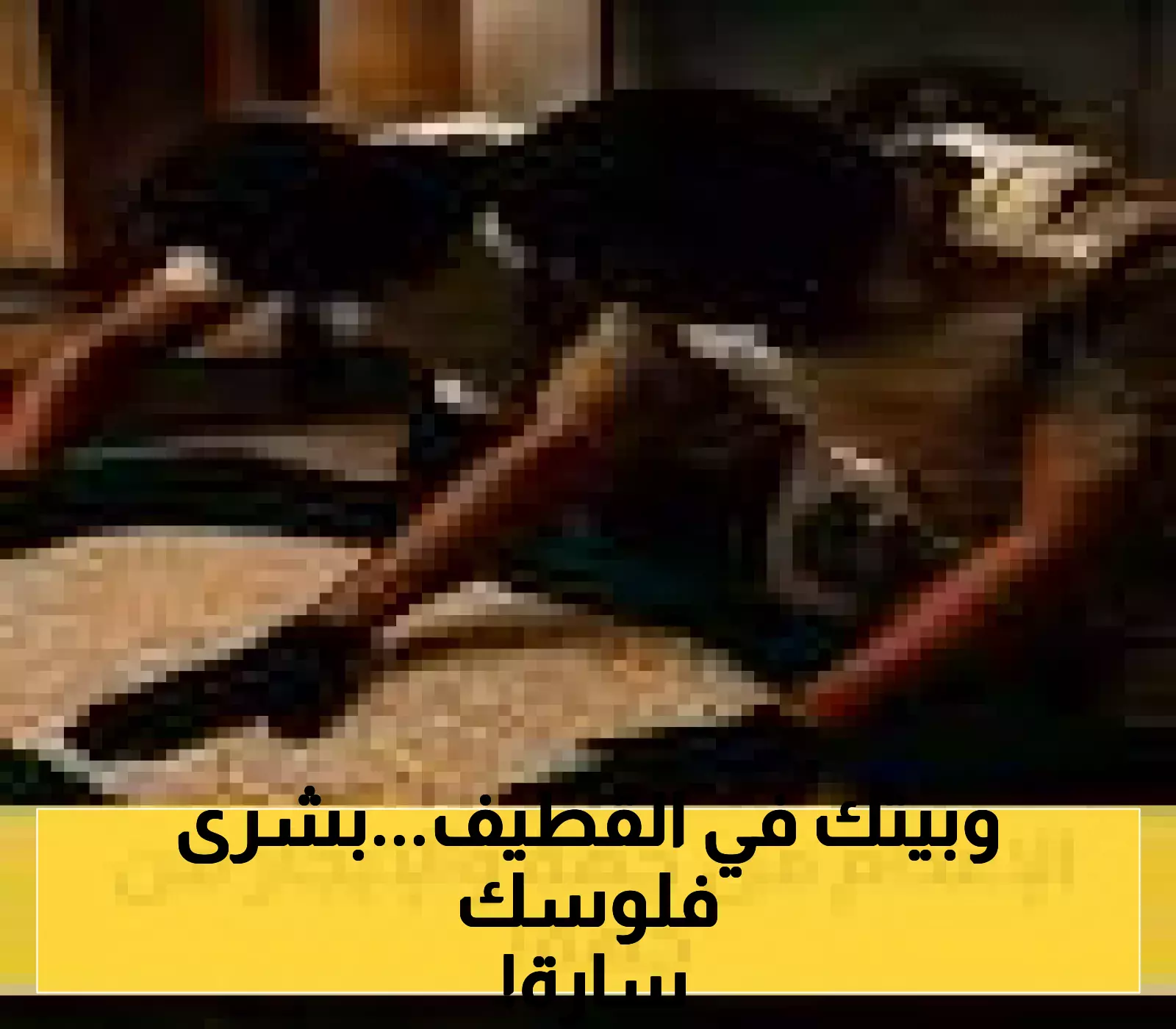 128 حياً في القطيف تدخل نظام التسجيل العيني.. وهيئة العقار تستعد لحل مشكلات الملاك في جلسة حوارية