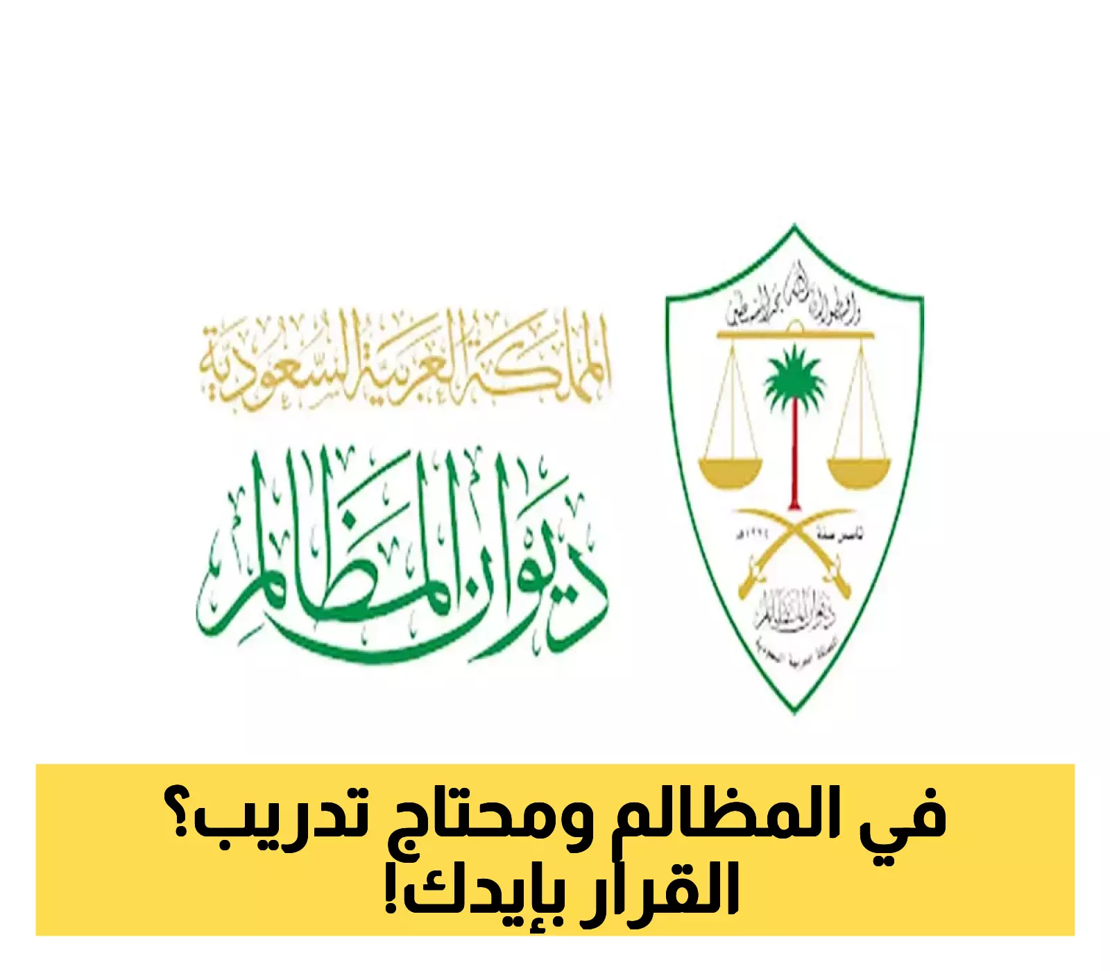 8 تخصصات مشمولة في برنامج ديوان المظالم للتدريب التعاوني.. والتقديم حتى 16 أغسطس