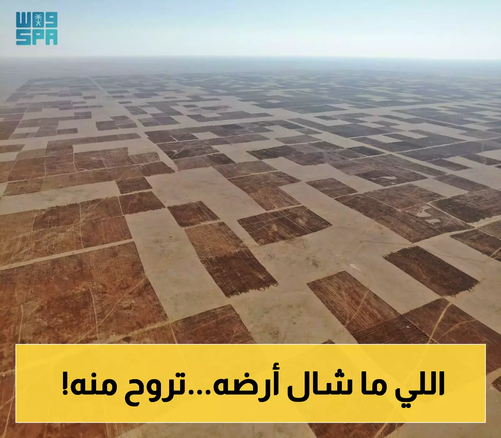 10 أيام لإخلاء 10,800 قطعة زراعية.. انتهاء موسم الأراضي البعلية في الحدود الشمالية
