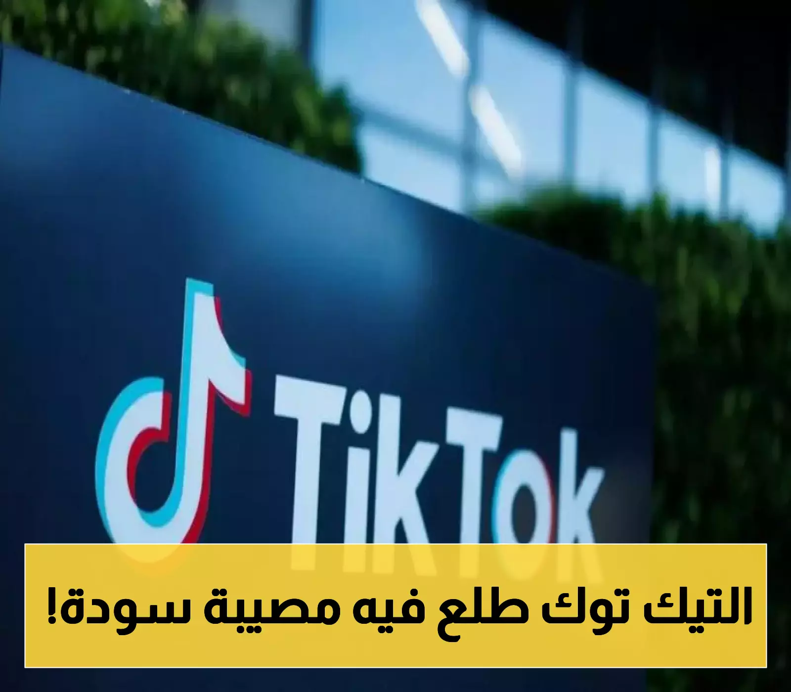 ضربة مزدوجة لمشاهير تيك توك في مصر: 2.9 مليون فيديو محذوف وعقوبات تصل إلى 7 سنوات سجن