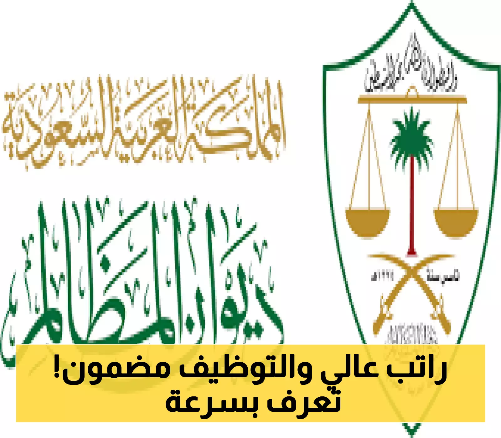 فرصة لا تعوض: انضم لبرنامج خبير ديوان المظالم السعودية وتعرف على التخصصات المطلوبة