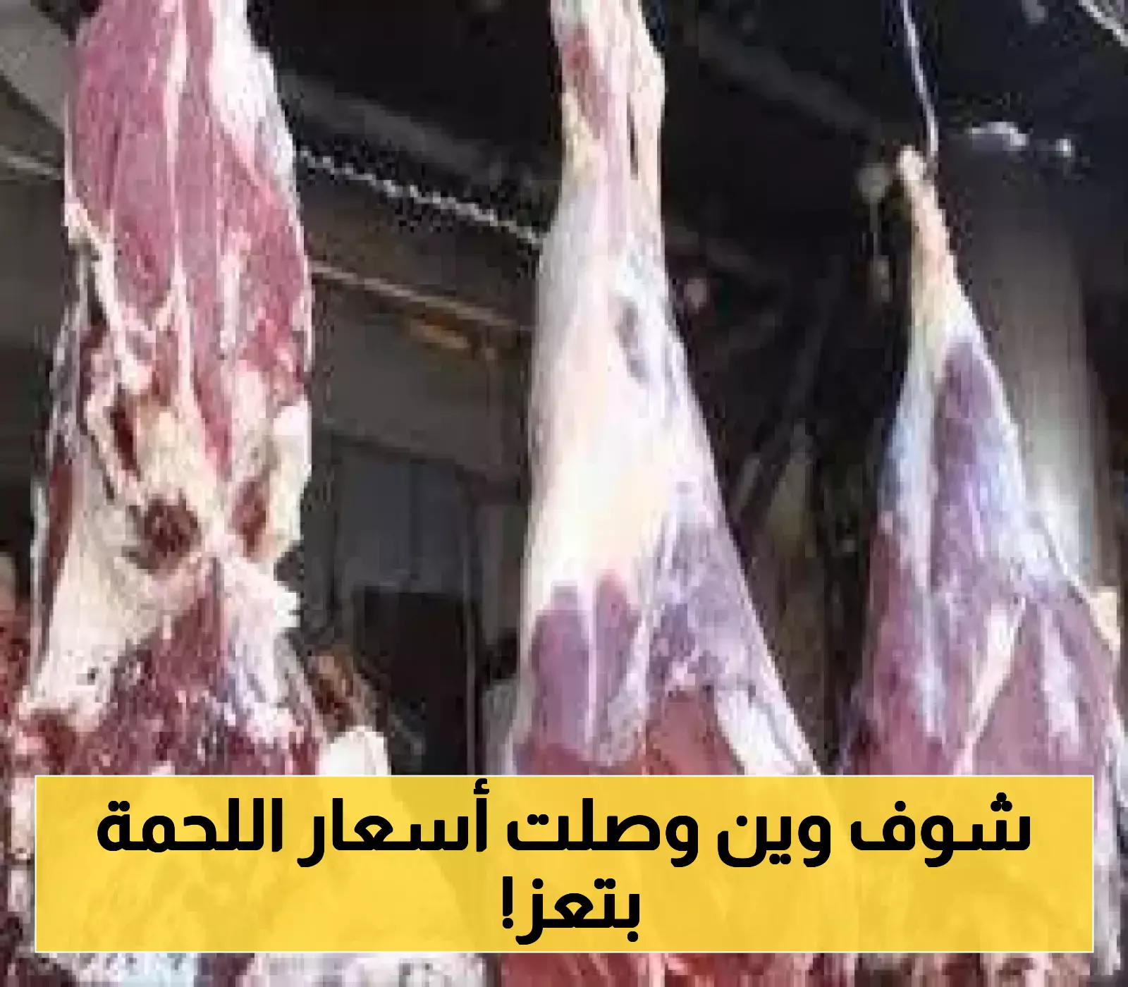 ماهو مصير تسعيرة اللحمة في محافظة تعز!