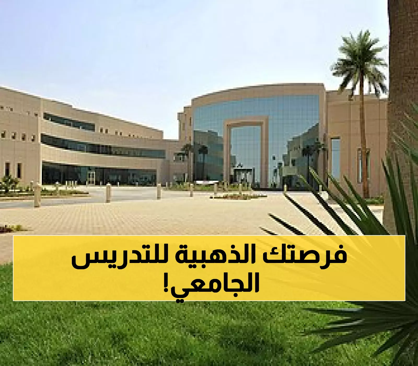 انضم إلى أسرة جامعة اليمامة..وظائف أكاديمية شاغرة لأعضاء هيئة التدريس 2025