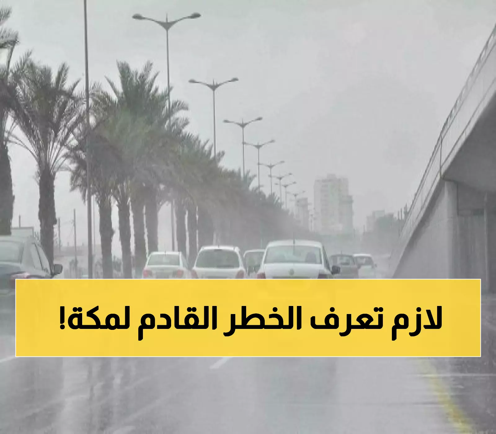 الأرصاد تحذر: أمطار ورياح نشطة بمناطق متفرقة من مكة المكرمة