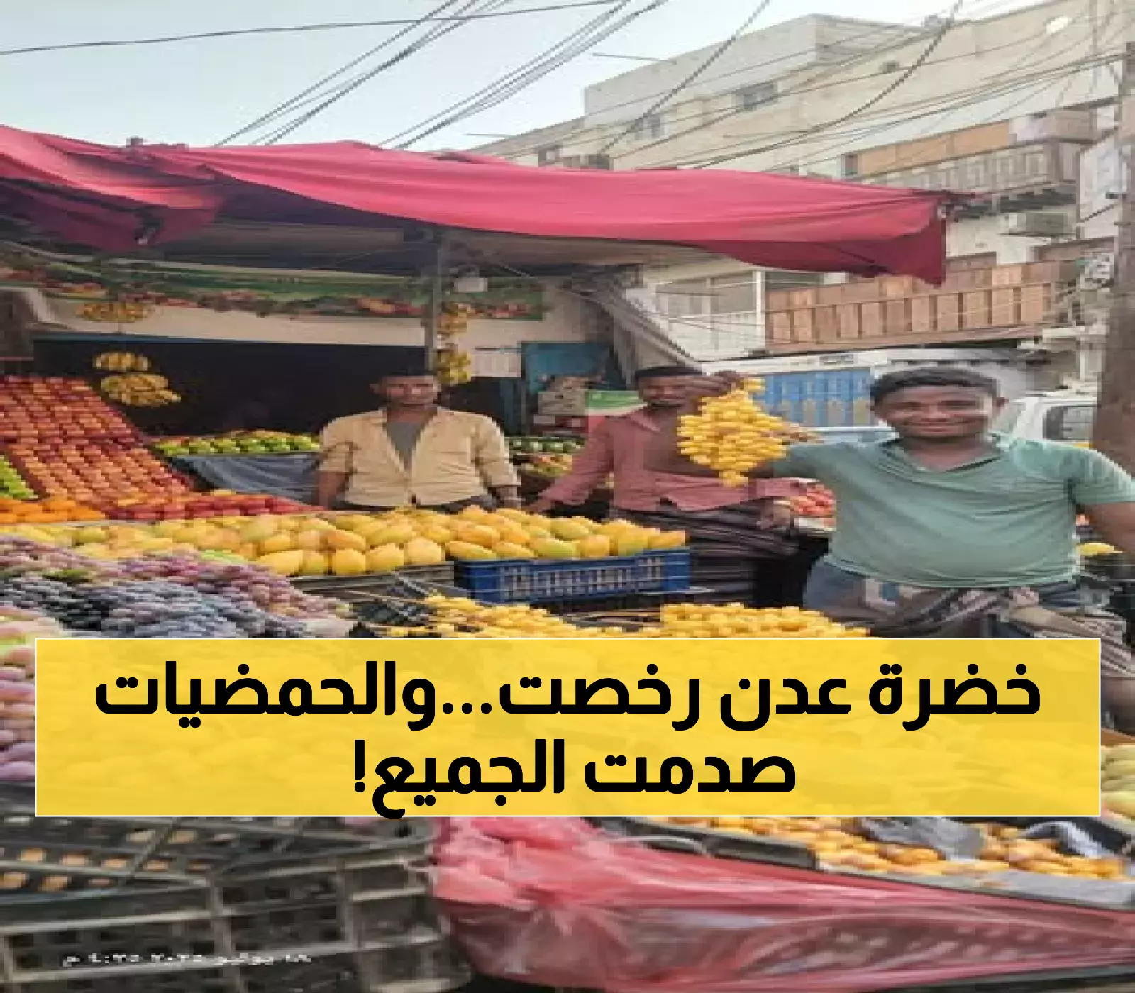 عاجل | أسواق عدن تتنفس الصعداء: استقرار نسبي للخضروات والفواكه وارتفاع صادم بأسعار الحمضيات... تعرف على تأثير التحديات الاقتصادية!
