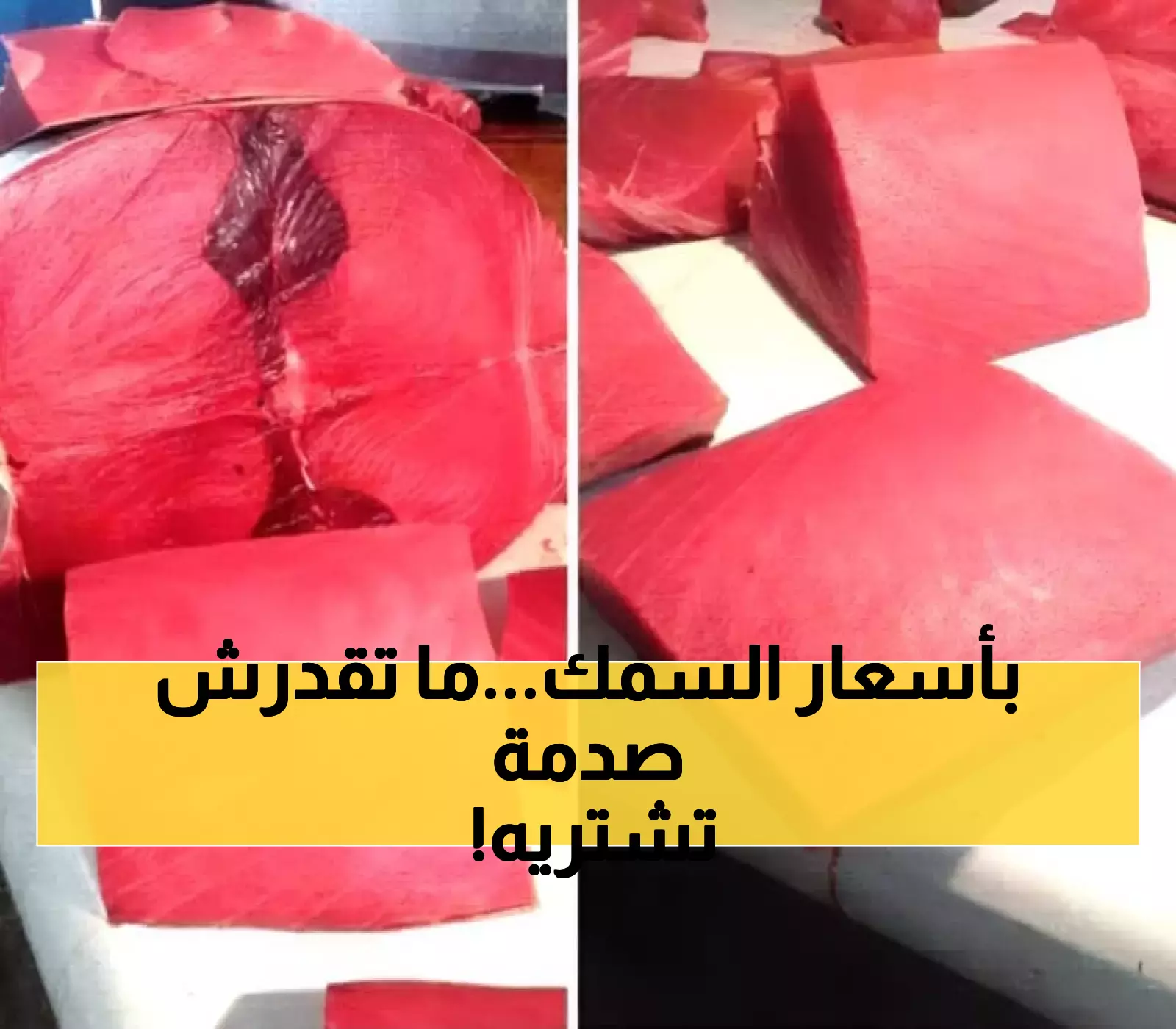  تحذير للأسر اليمنية! قفزة صاروخية في أسعار الأسماك بعدن.. والثمد يحلق إلى 16 ألف ريال والديرك يكسر حاجز الـ24 ألفاً!
