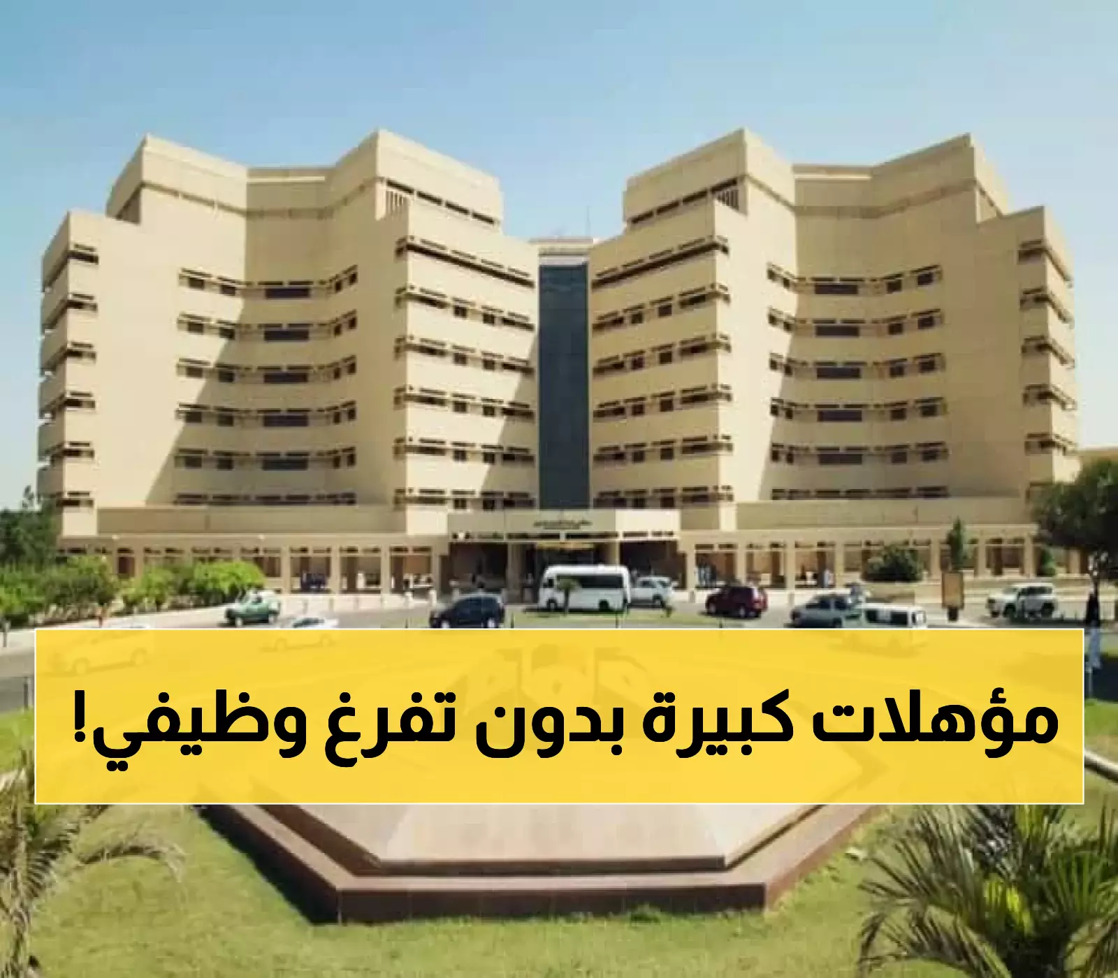 جامعة الملك عبدالعزيز تكشف النقاب عن برامج ماجستير تنفيذية لتطوير المهارات