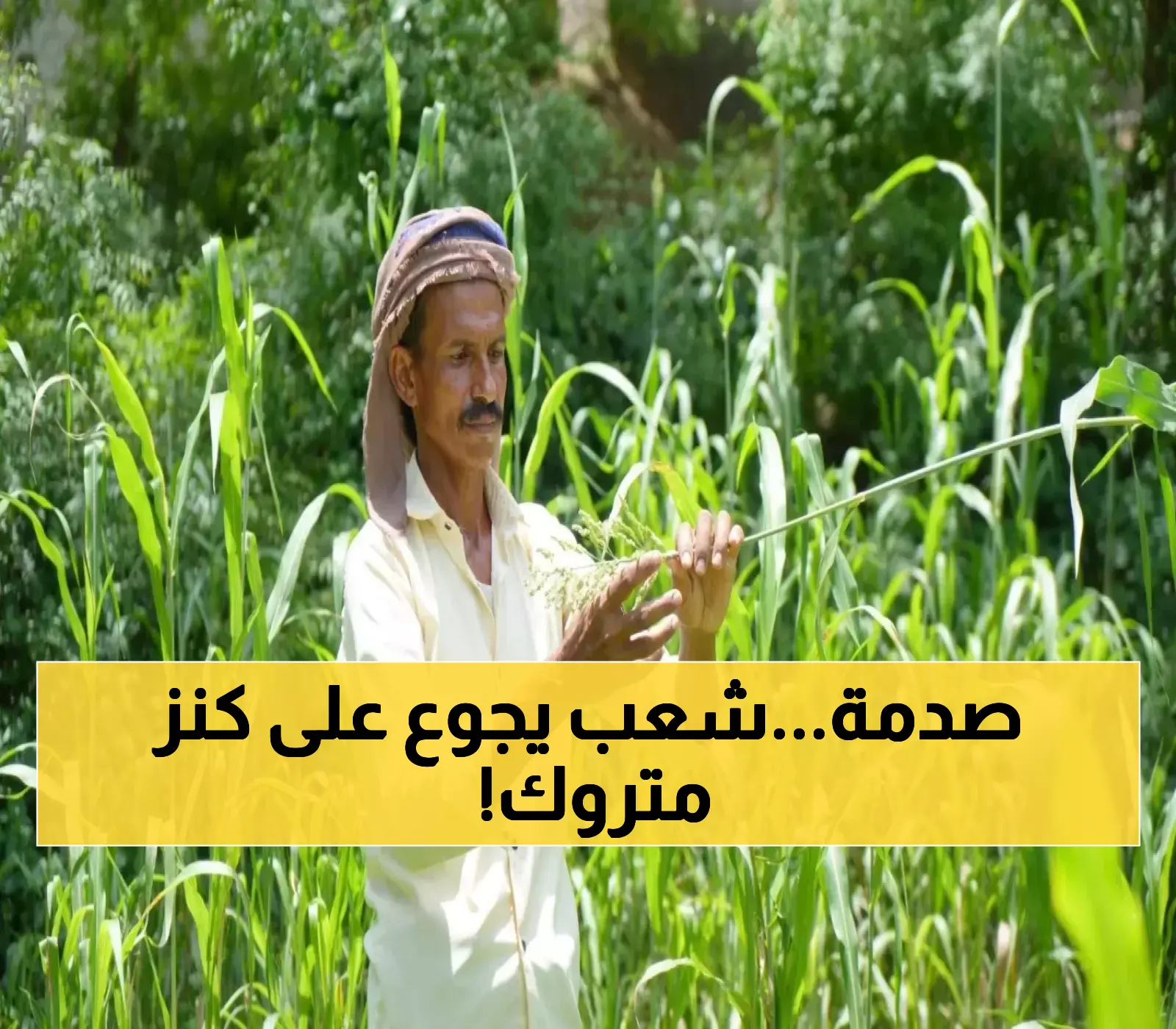 إعلان أممي صادم يُربك اليمنيين: كارثة مناخية مزدوجة تهدد 57% من الأراضي الزراعية بفيضانات مدمرة وجفاف حاد !