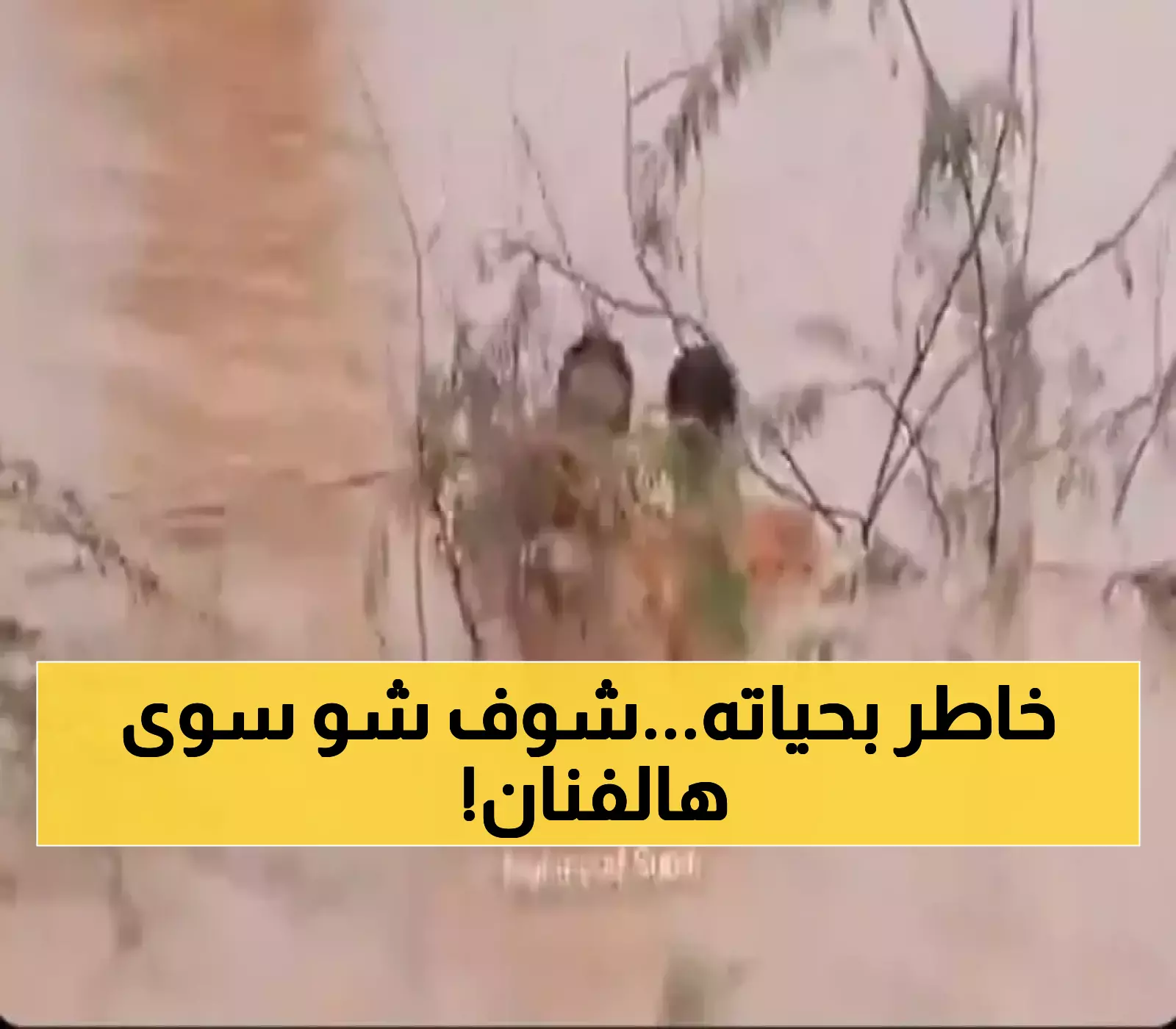 شاهد بالفيديو: موقف بطولي لفنان عُماني مشهور يخاطر بحياته لإنقاذ مواطن يمني من سيول حضرموت الجارفة