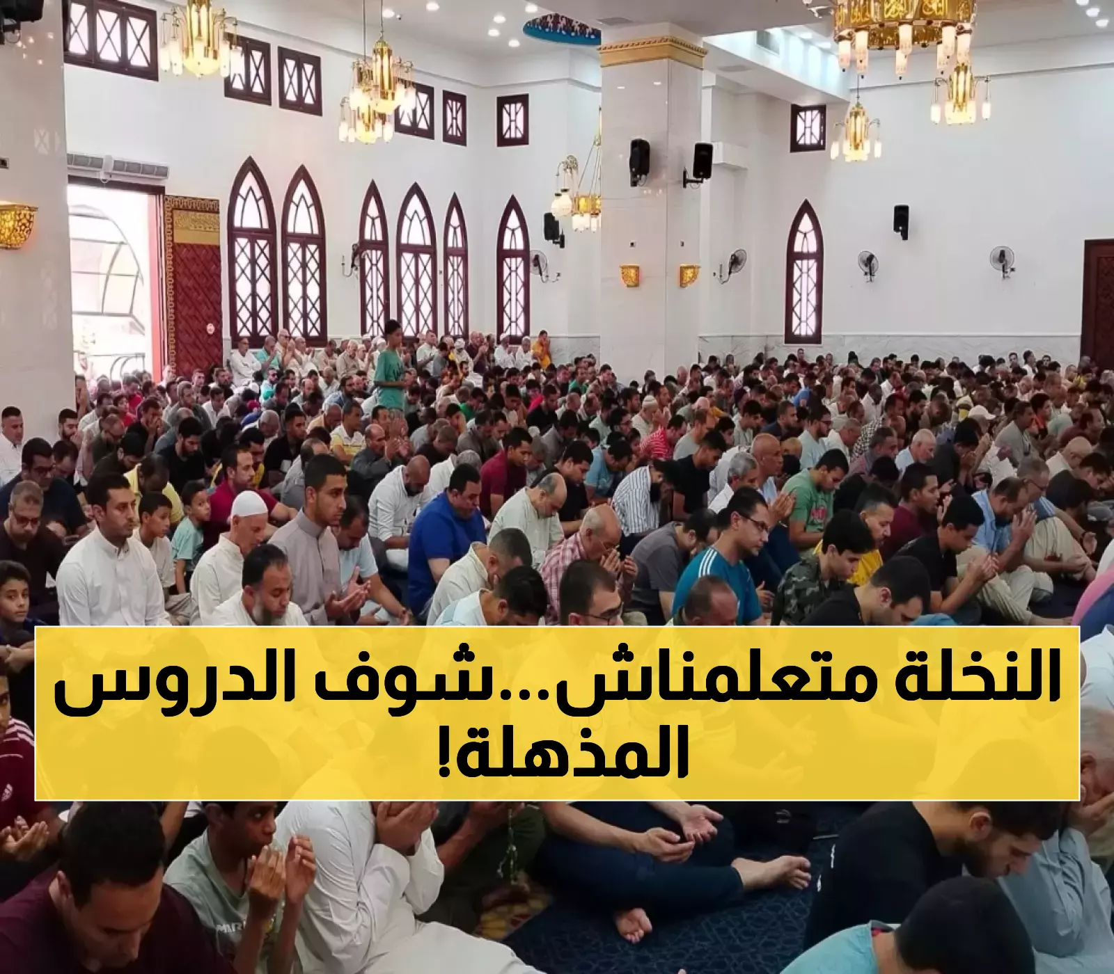 كيف يُشبه المسلم النخلة؟ خطبة الجمعة تكشف 3 دروس مذهلة لتنمية الفكر النقدي