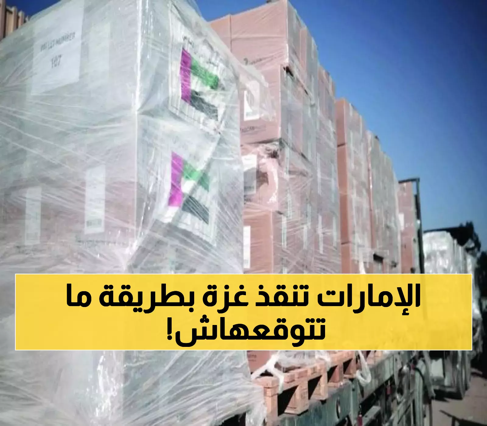7000 طن إغاثة إماراتية في طريقها لغزة: كيف تنقذ قوافل "الفارس الشهم 3" مستشفيات منهارة وسط مجاعة أودت بحياة 114 طفلاً؟