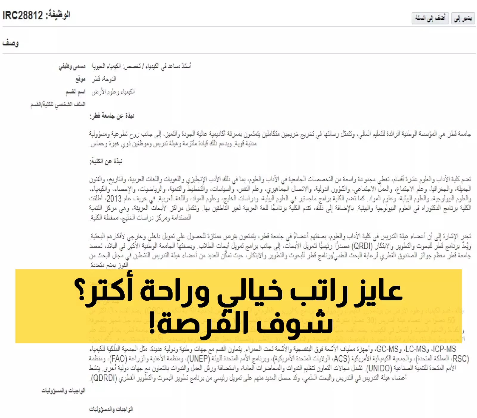 5 جامعات عربية تفتح أبوابها للأكاديميين: وظائف بمزايا مذهلة تشمل 60 يوم إجازة سنوية