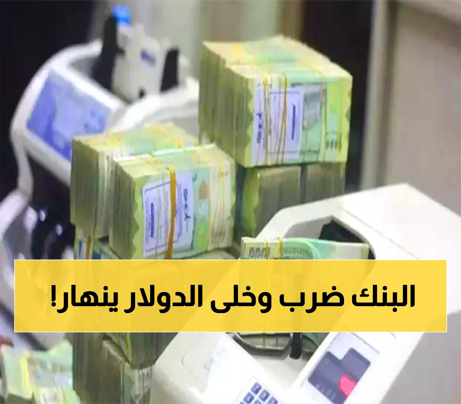تحسن ملحوظ في الريال اليمني: من 1617 إلى 1300 ريال للدولار وإجراءات جديدة تعيد الثقة للسوق