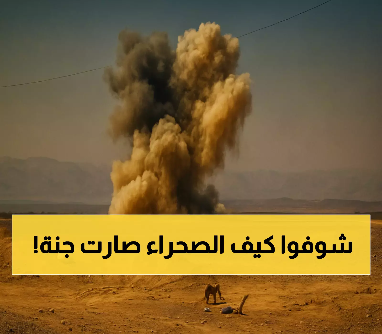كيف حول سد مأرب 98,000 كم² من الصحراء إلى واحة خضراء؟ 4 أسرار هندسية لم تكن تعرفها