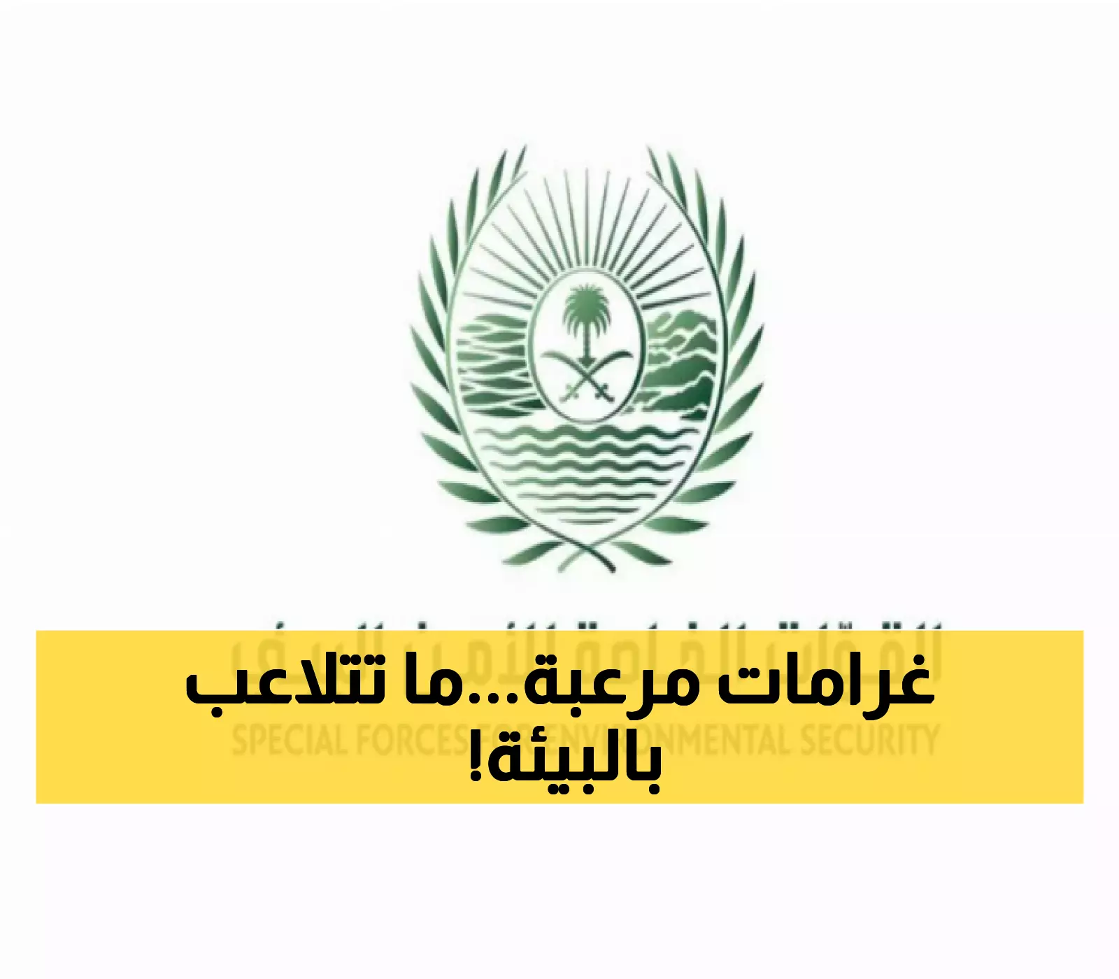 32 ألف ريال غرامة لكل متر مكعب من الحطب التجاري.. تعرف على العقوبات التي تنتظر مخالفي الأنظمة البيئية في السعودية