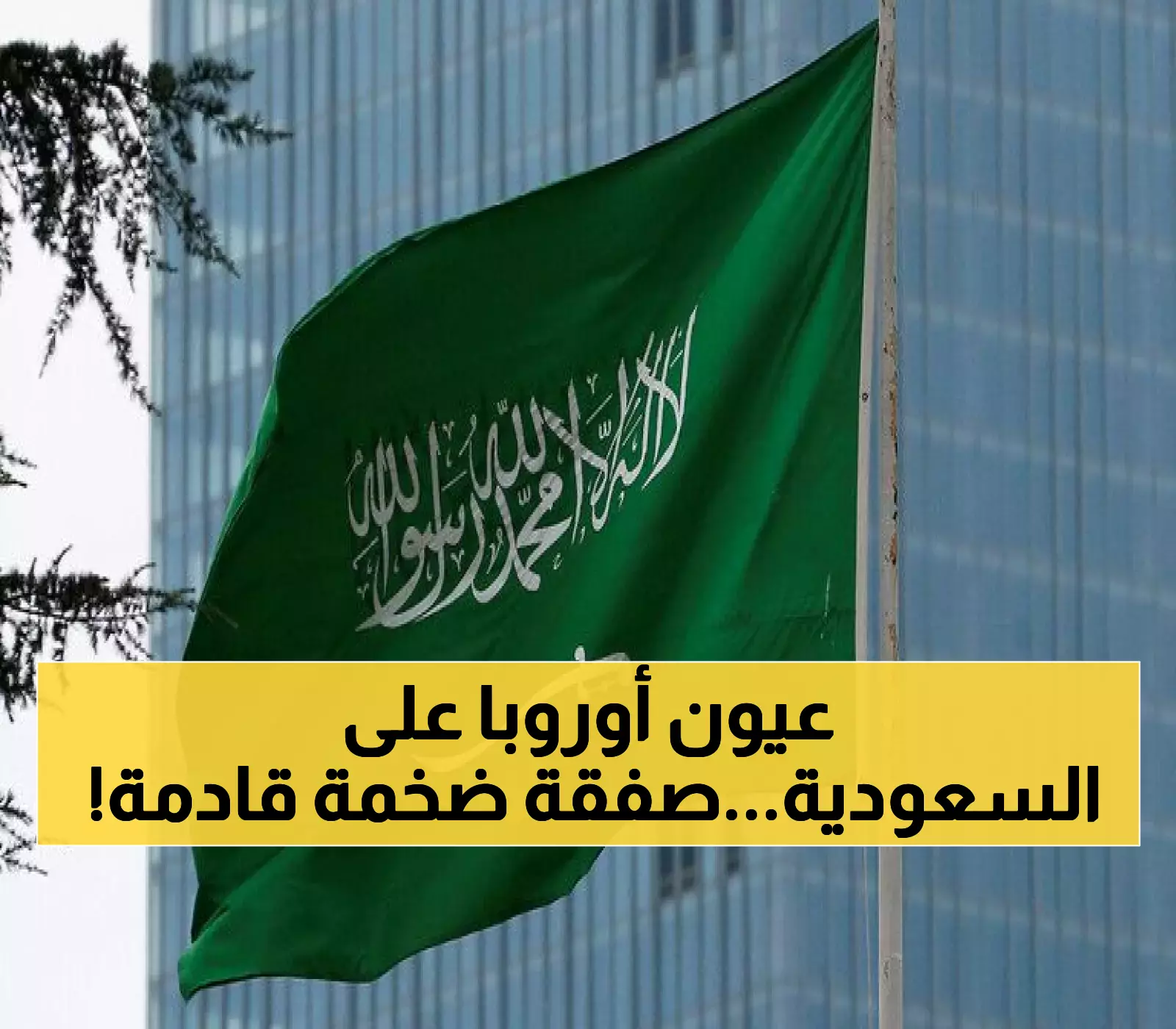 البرلمان الأوروبي يشيد بالسعودية: مفاوضات شراكة استراتيجية تلوح في الأفق