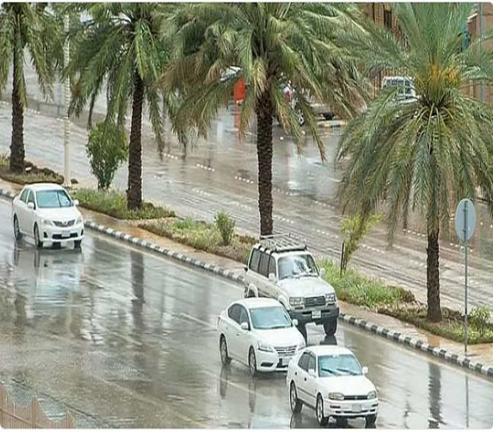عاجل: عاصفة رعدية تضرب 7 مناطق بالمملكة الأربعاء... أمطار غزيرة وسيول ورياح تصل 50 كم/ساعة!