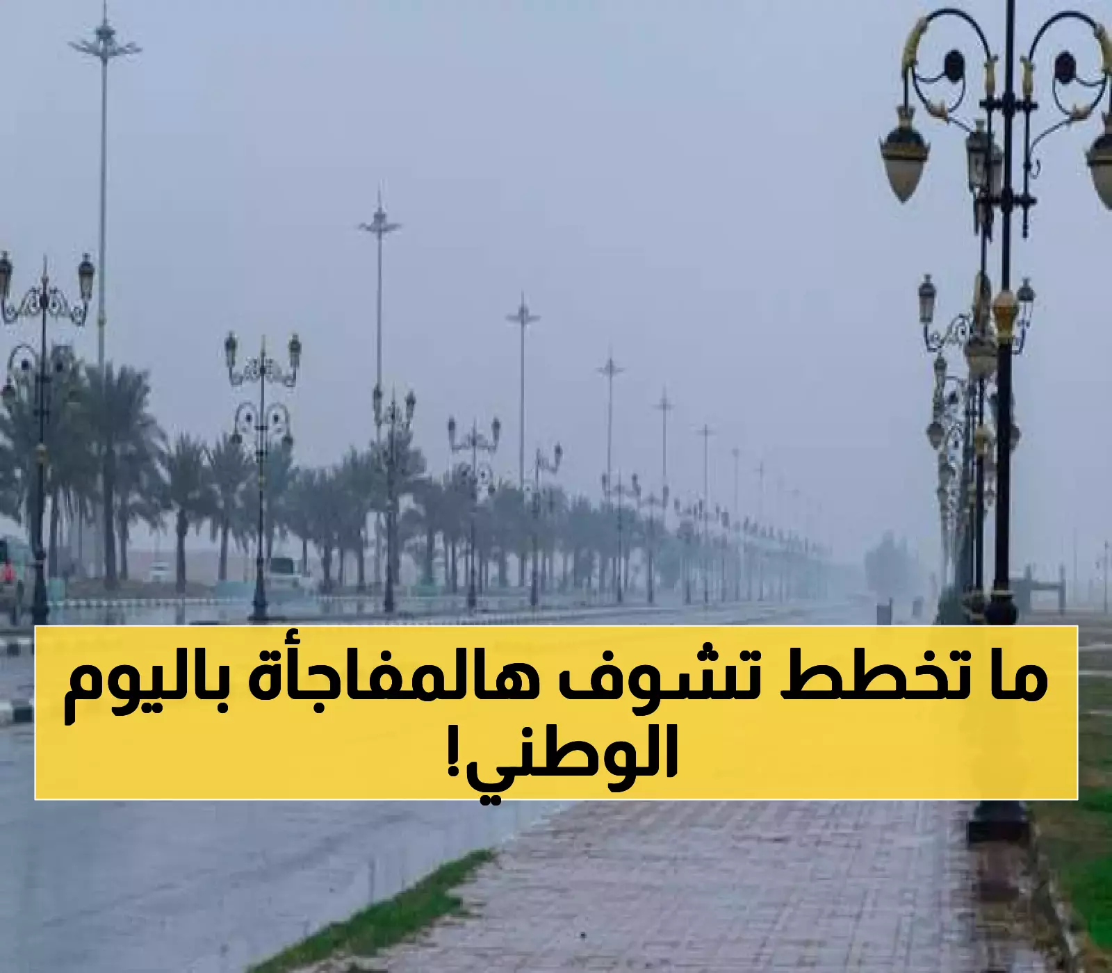 عاجل: أمطار رعدية وبرد يفاجئ المملكة في اليوم الوطني 95… هل ستتأثر الاحتفالات؟