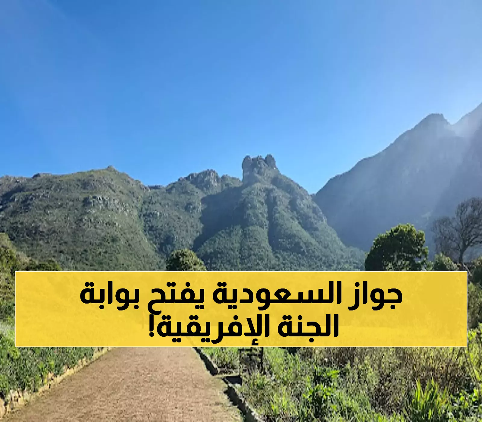 عاجل: السعوديون يكتشفون الجنة المخفية… 90 يوماً بلا تأشيرة في جنوب أفريقيا!