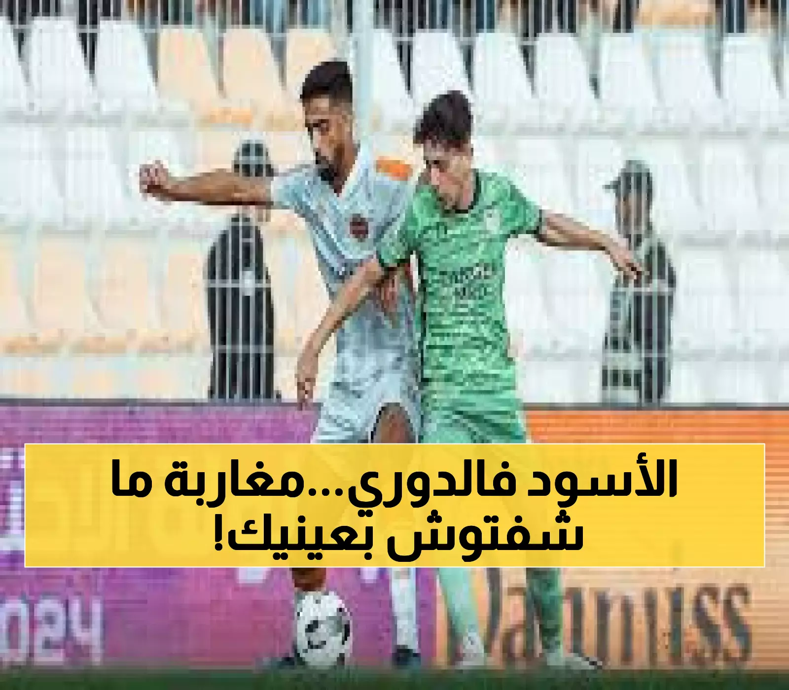 عاجل: الدوري المغربي ينطلق بعاصفة نارية... أبطال الشان والمونديال يجتمعون لأول مرة!