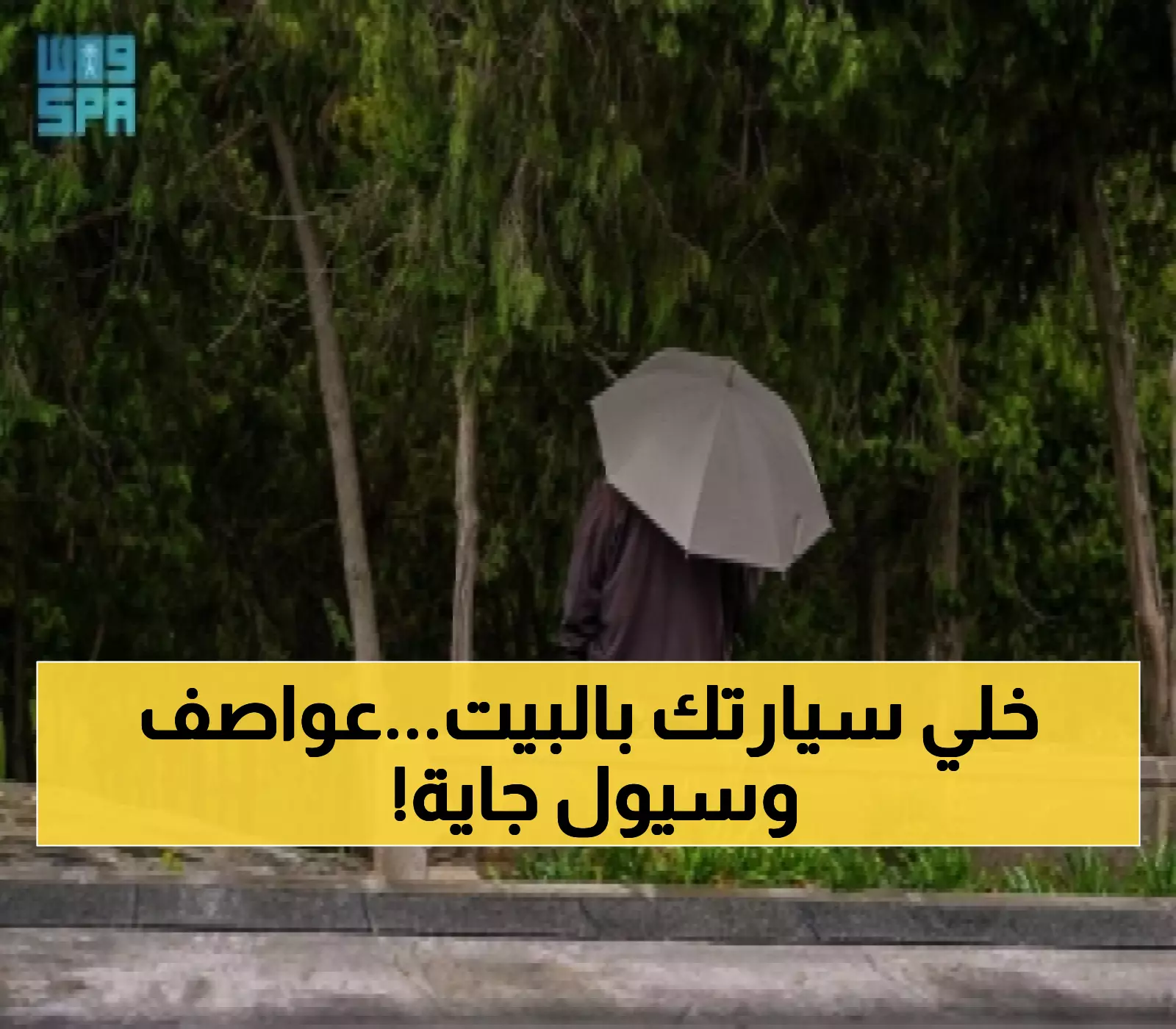 الأرصاد تحذر: رياح بـ50 كم/ساعة وأمطار غزيرة تضرب جازان وعسير والباحة اليوم