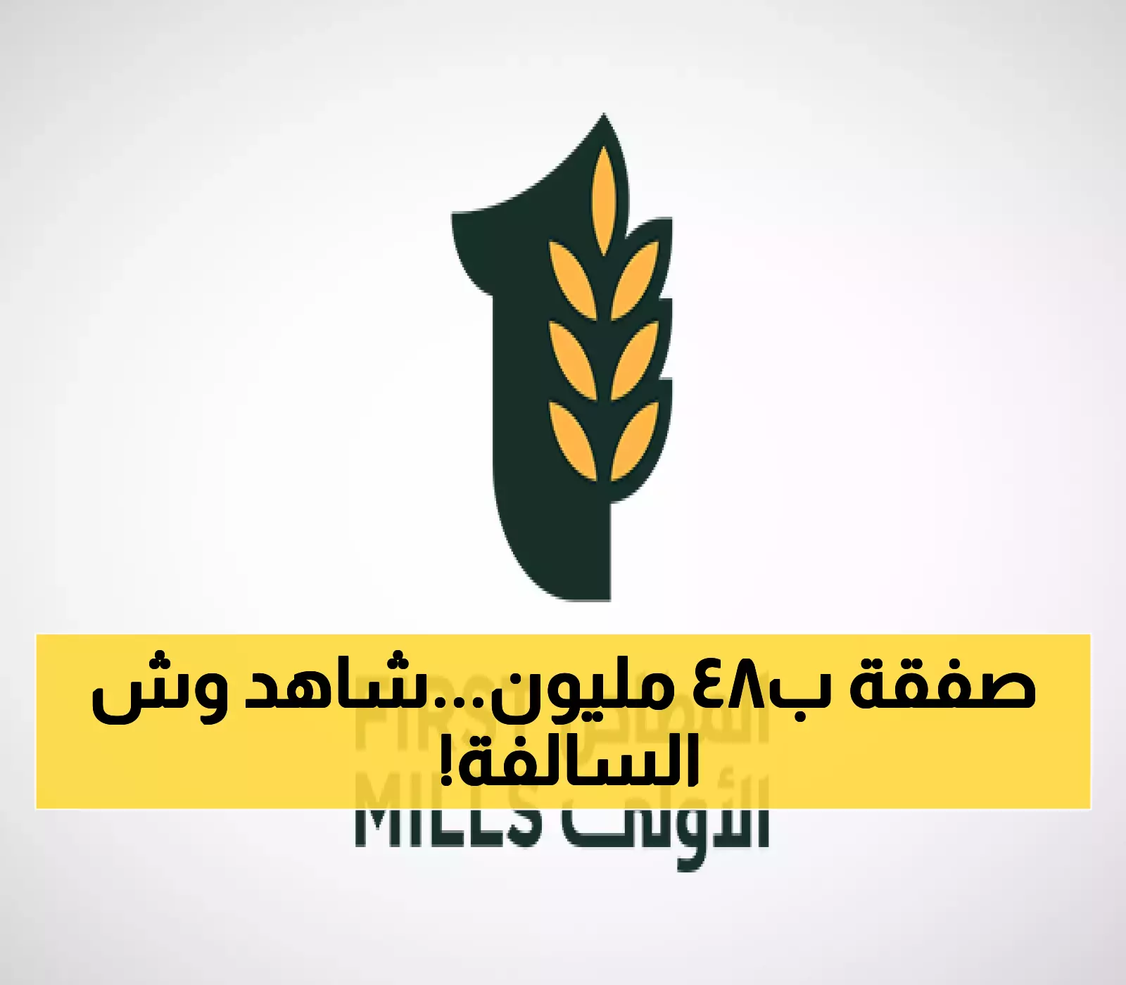 عاجل: المطاحن الأولى تطلق قنبلة استثمارية بـ48 مليون ريال - هل تعيد تشكيل سوق الأعلاف؟