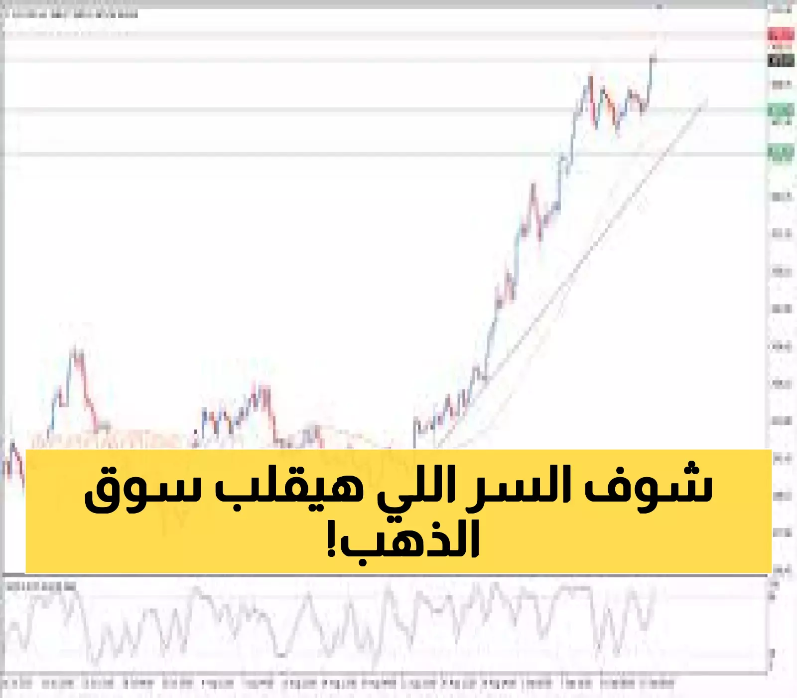 حصري: سر الهدنة الذهبية المؤقتة... والقفزة القادمة ستفاجئ المستثمرين تماماً!