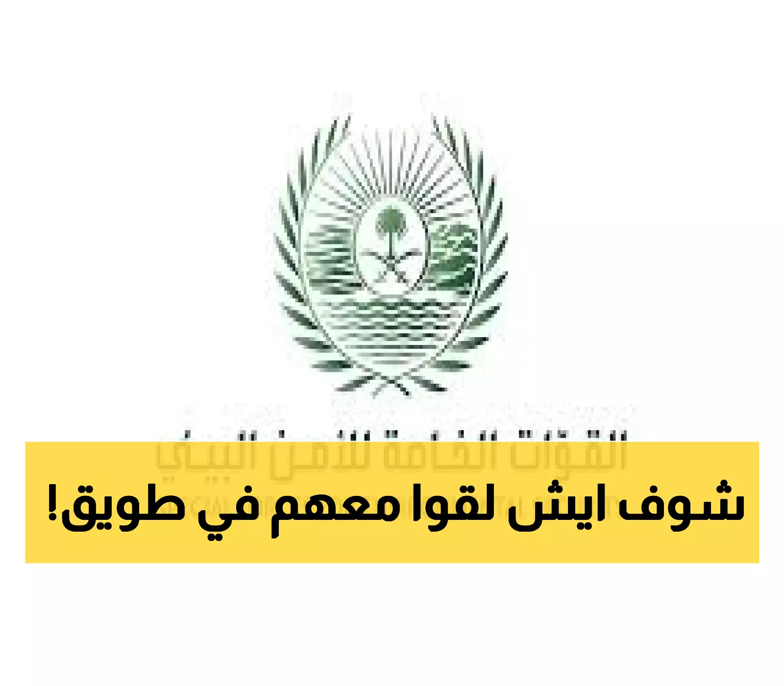 عاجل: القوات الخاصة تضبط مواطنين بترسانة أسلحة في طويق - الغرامة ستصدمك!