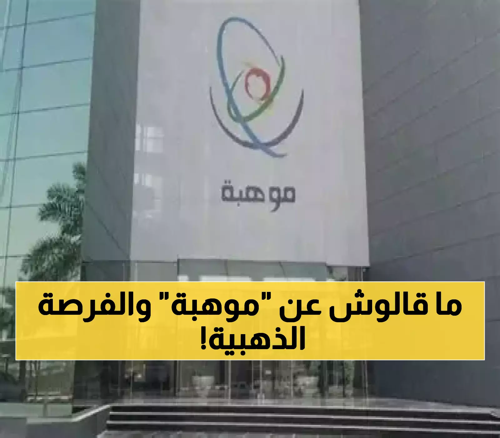 حصري: الشريف يفضح تفاصيل برنامج موهبة... هكذا تدخل أرقى الجامعات العالمية مجاناً!