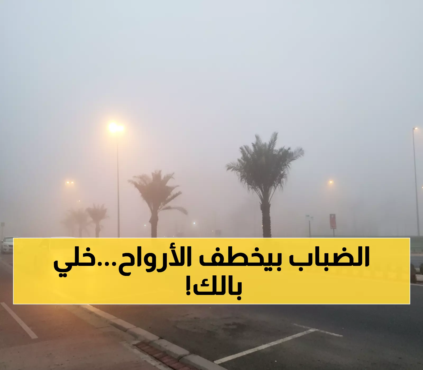 خطر: ضباب مميت يضرب الشرقية هذا الأسبوع - الرؤية تنخفض لـ 1 كم فقط!