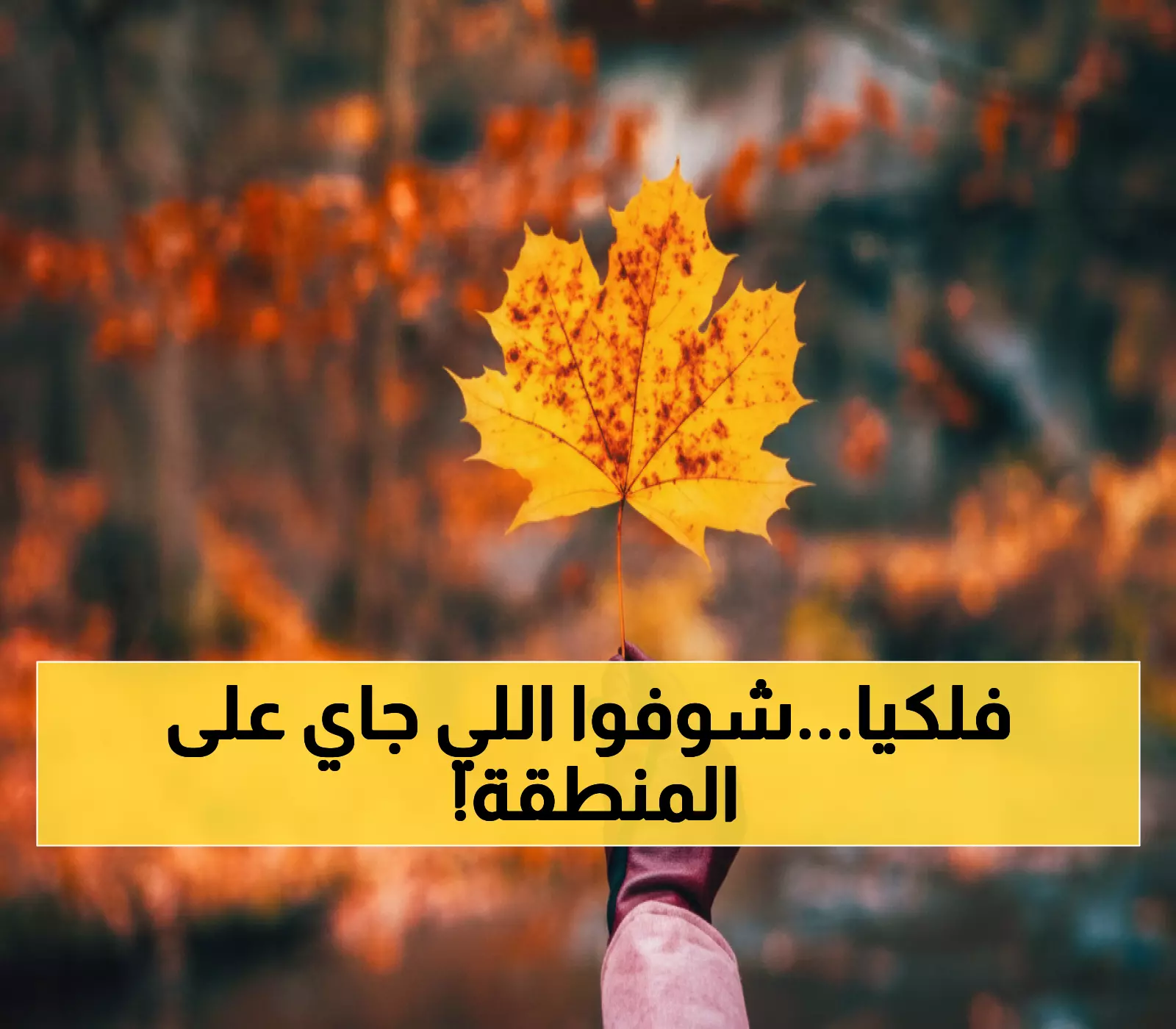 عاجل: الخريف يقتحم الوطن العربي رسمياً اليوم… أمطار رعدية وتقلبات مناخية صادمة قادمة!